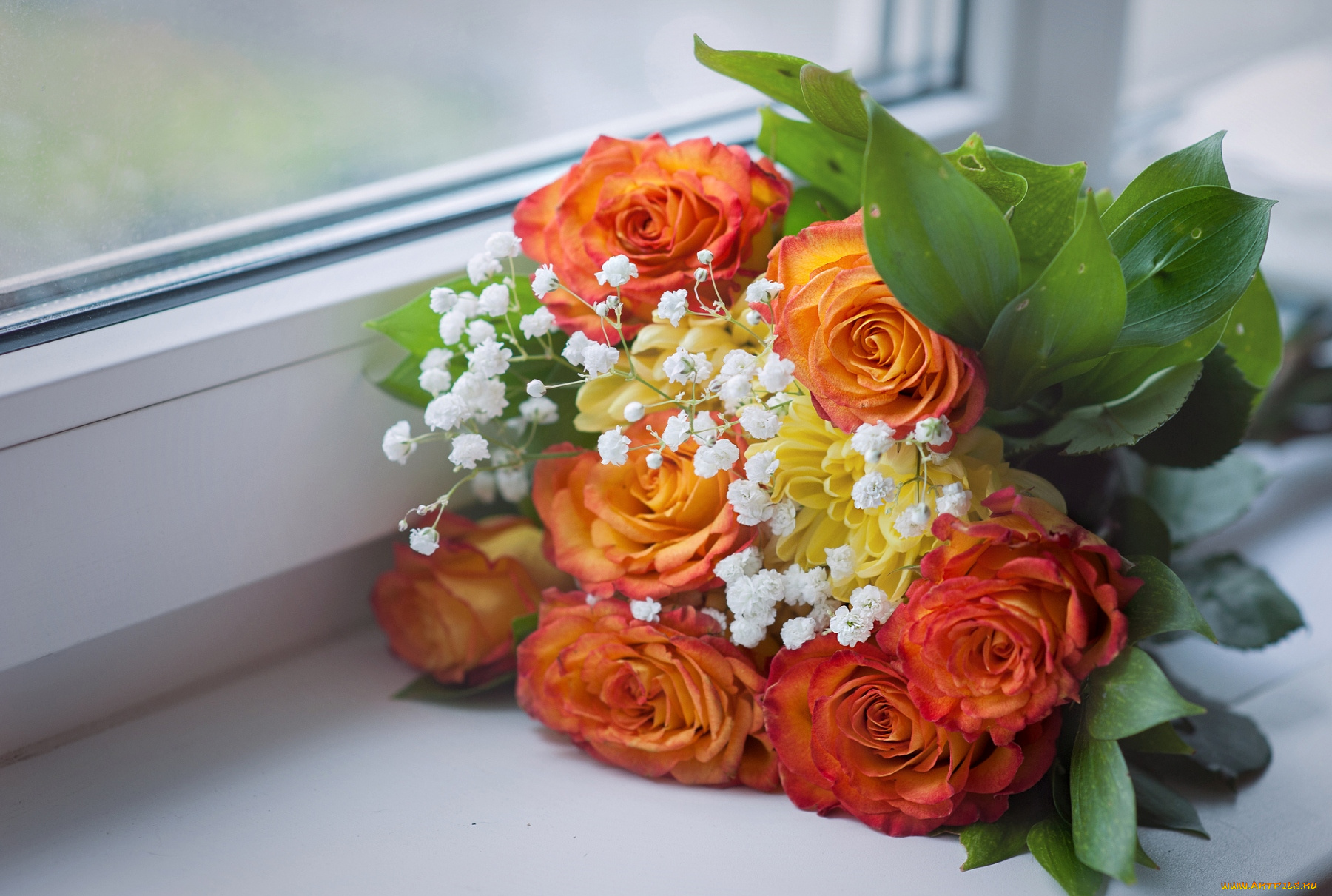 цветы, букеты, композиции, розы, гипсофила, хризантема, окно