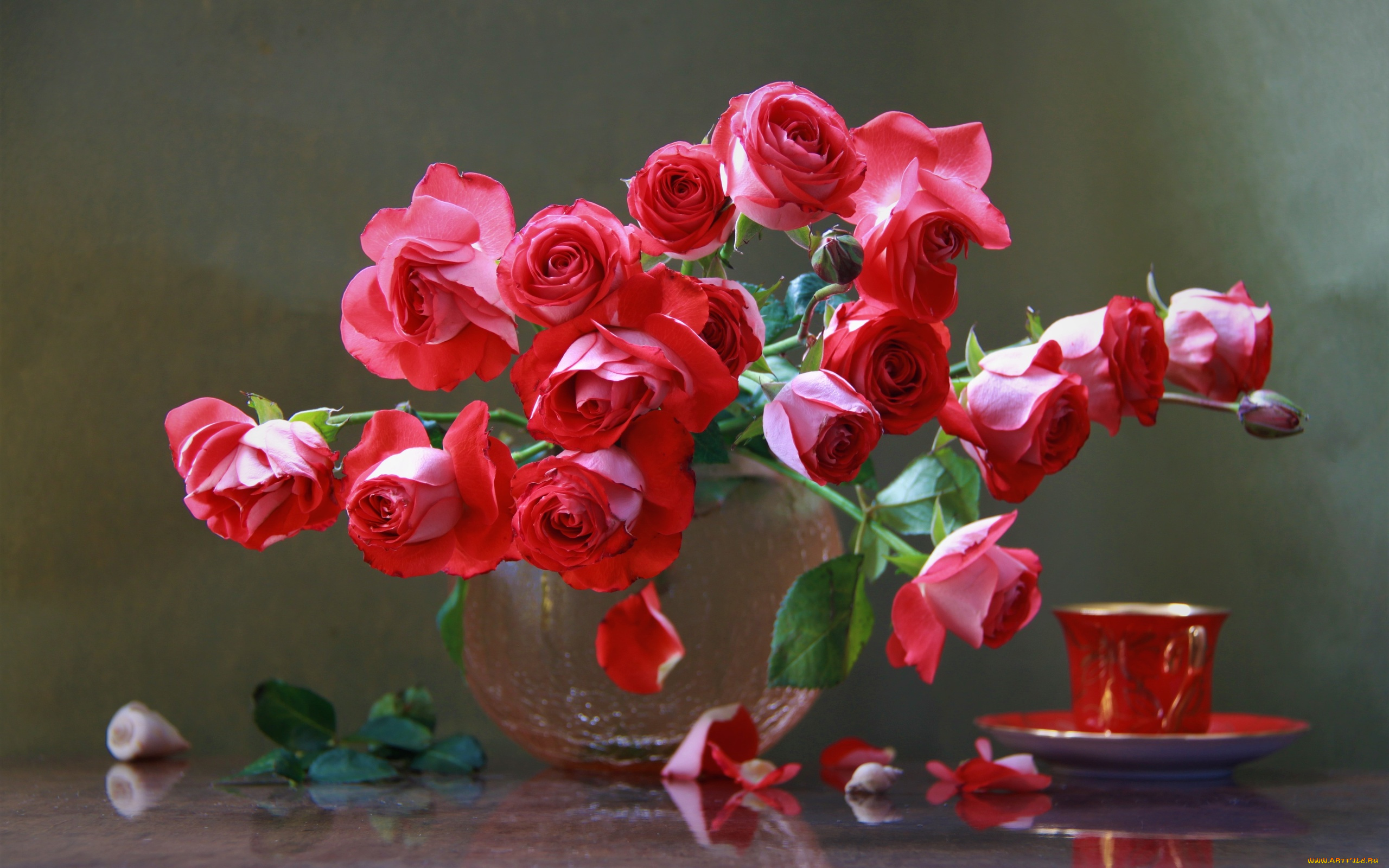 цветы, розы, чашка, лепестки, ракушки, ваза