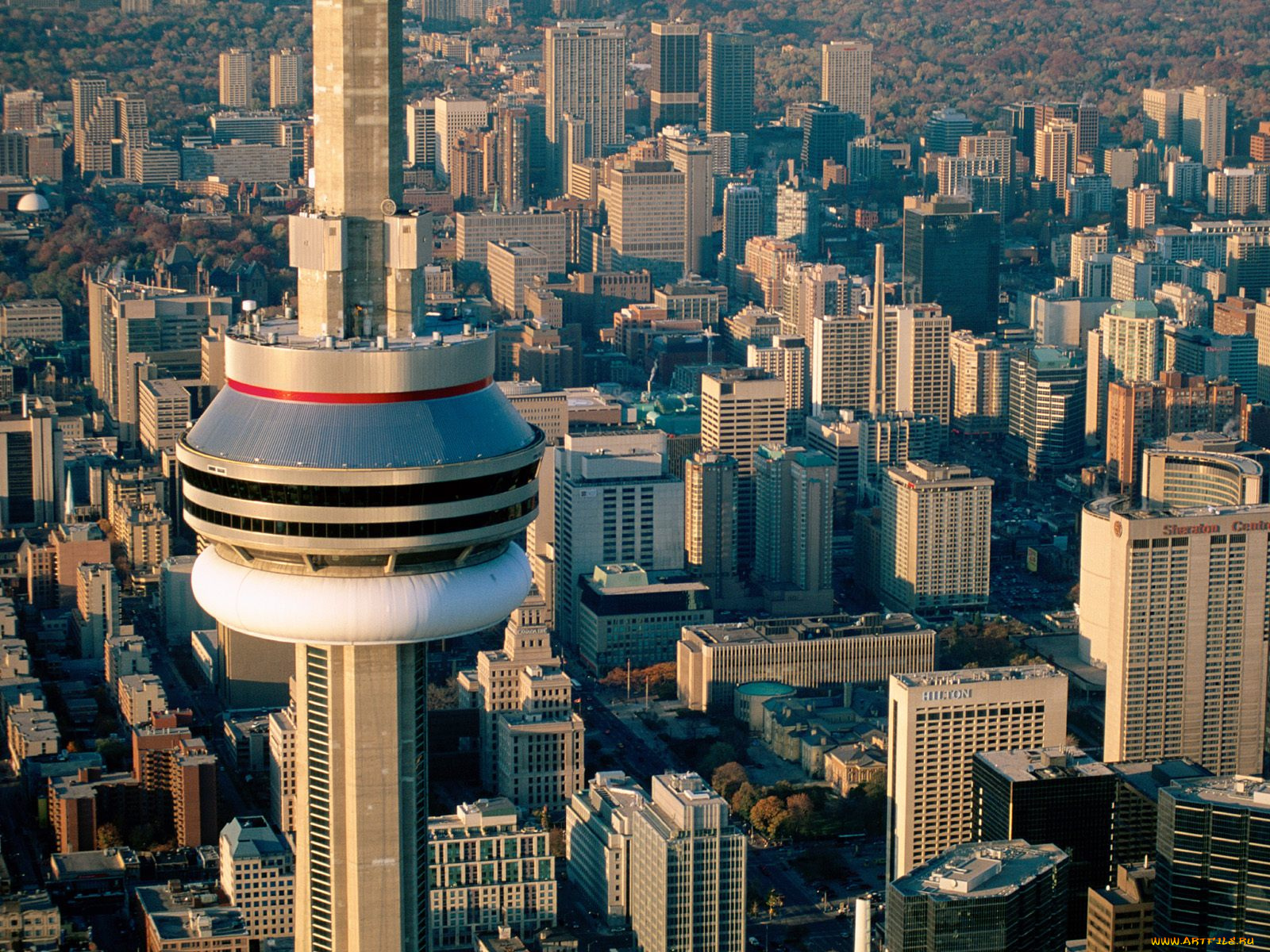 aerial, view, of, the, cn, tower, toronto, canada, города, торонто, канада