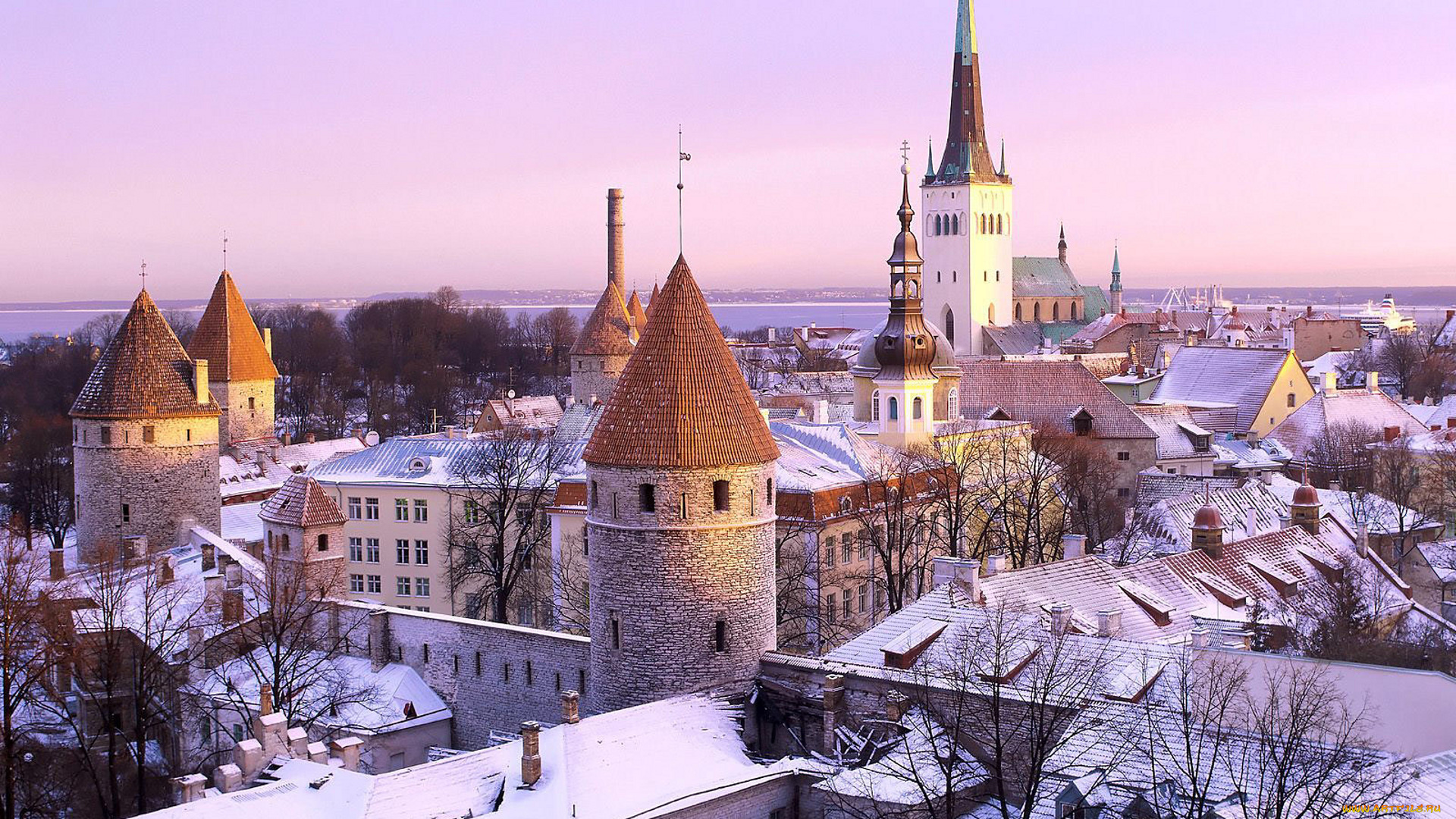 города, таллин, , эстония, снег, зима, панорама, город, башни, крыши