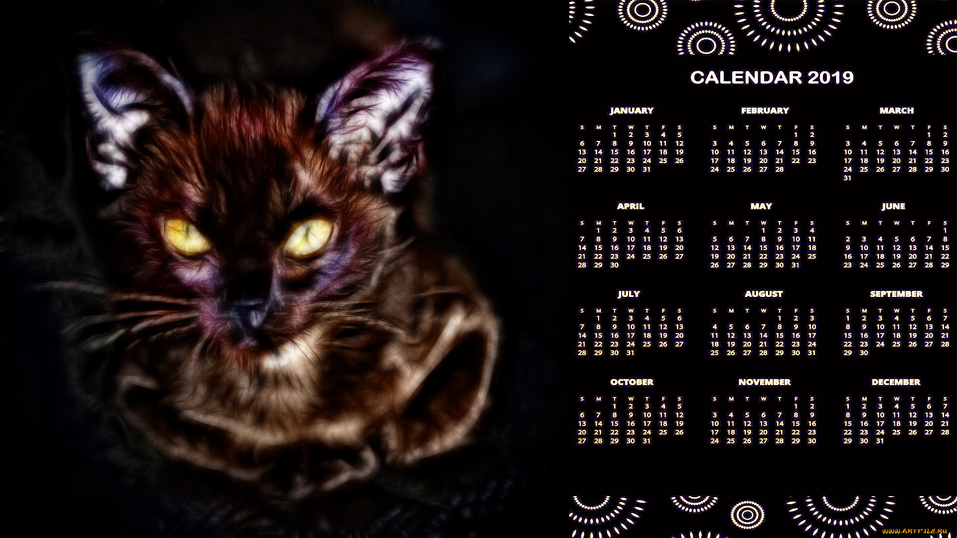 календари, компьютерный, дизайн, кот, взгляд, кошка