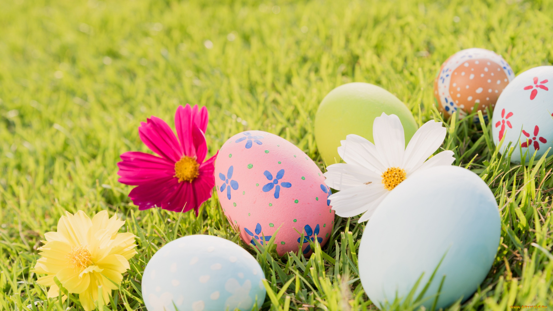 праздничные, пасха, pastel, colors, decoration, easter, flowers, spring, яйца, цветы, трава, eggs