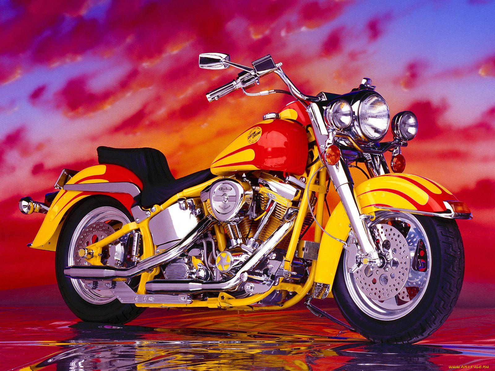 1986, softail, custom, мотоциклы, customs