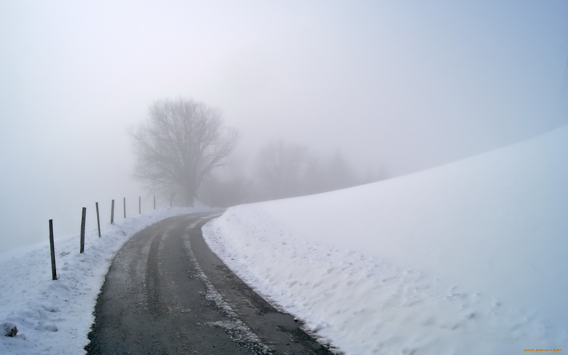природа, дороги, туман, дорога, забор, снег