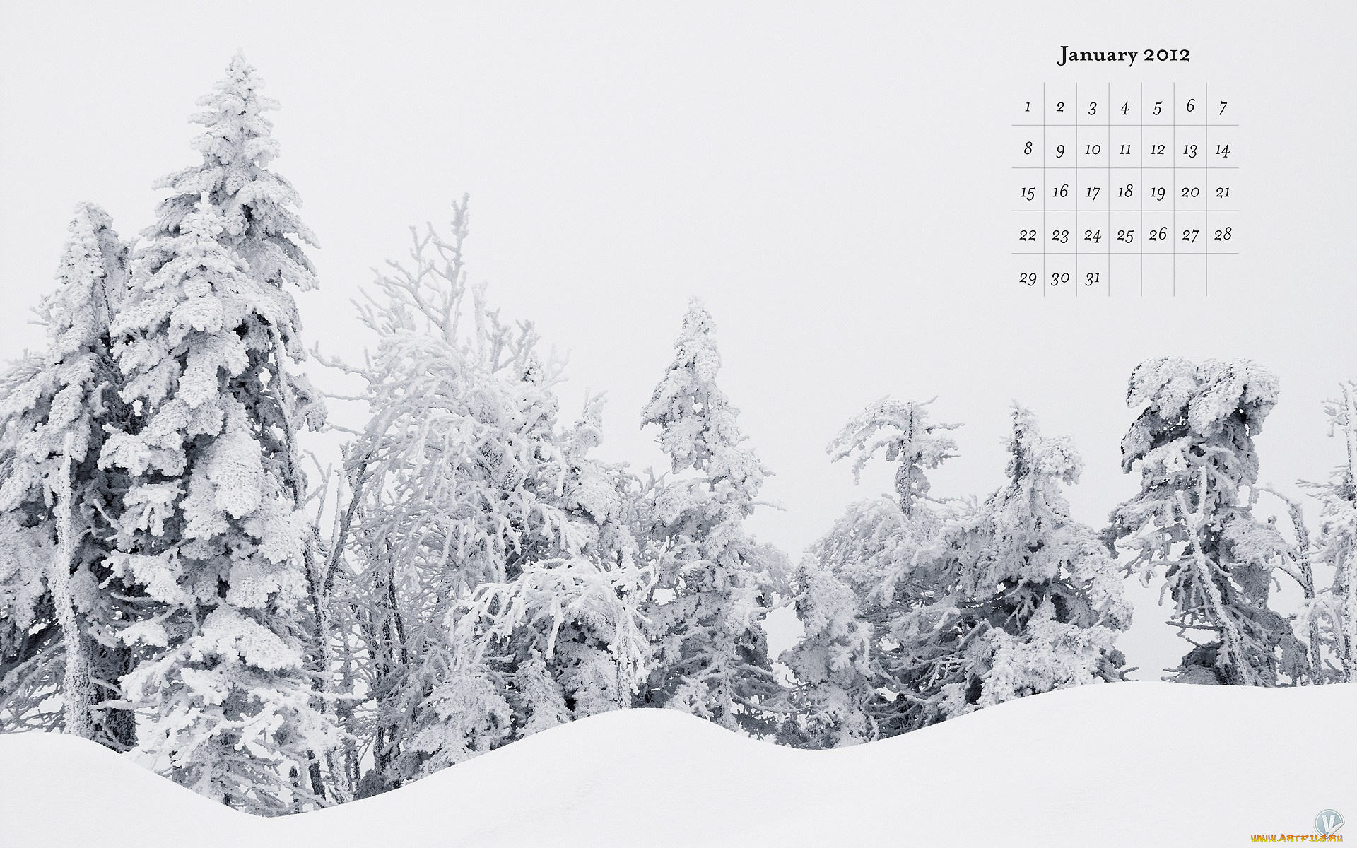 календари, природа, зима, снег, деревья