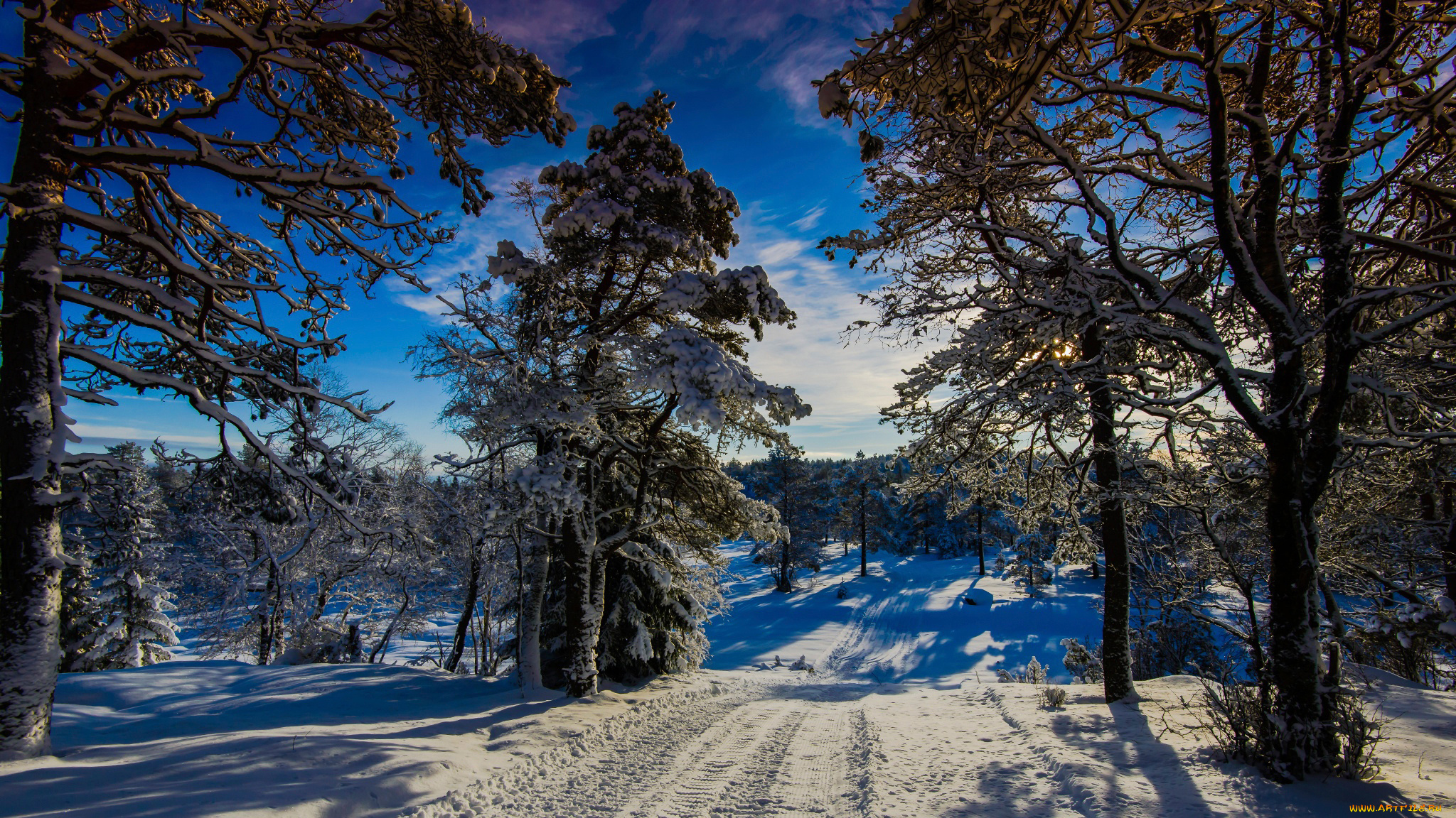 природа, зима, winter, wonder, land, норвегия, солнце