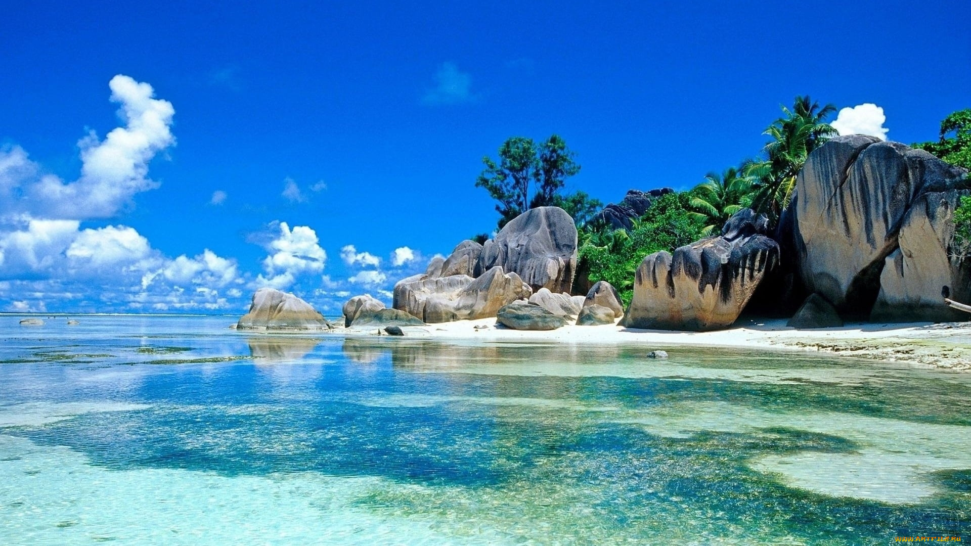 seychelles, beach, природа, тропики, seychelles, beach