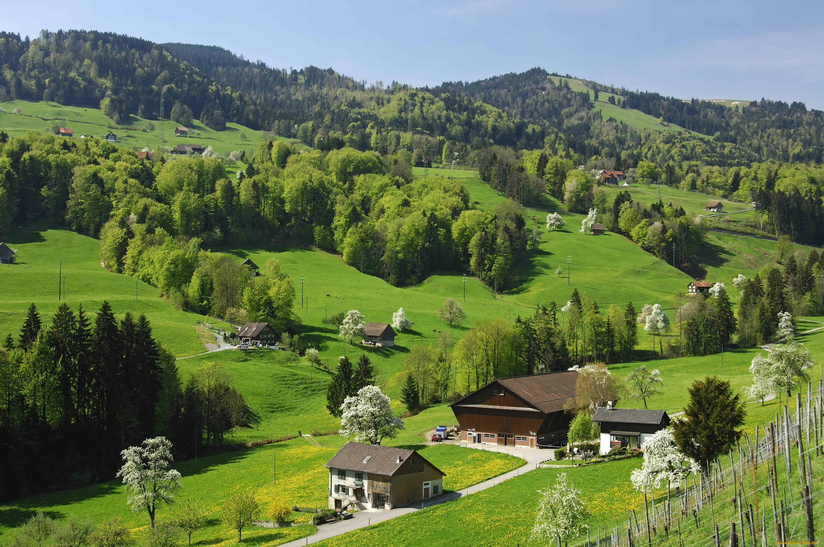 природа, пейзажи, деревья, горы, nature, швейцария, switzerland