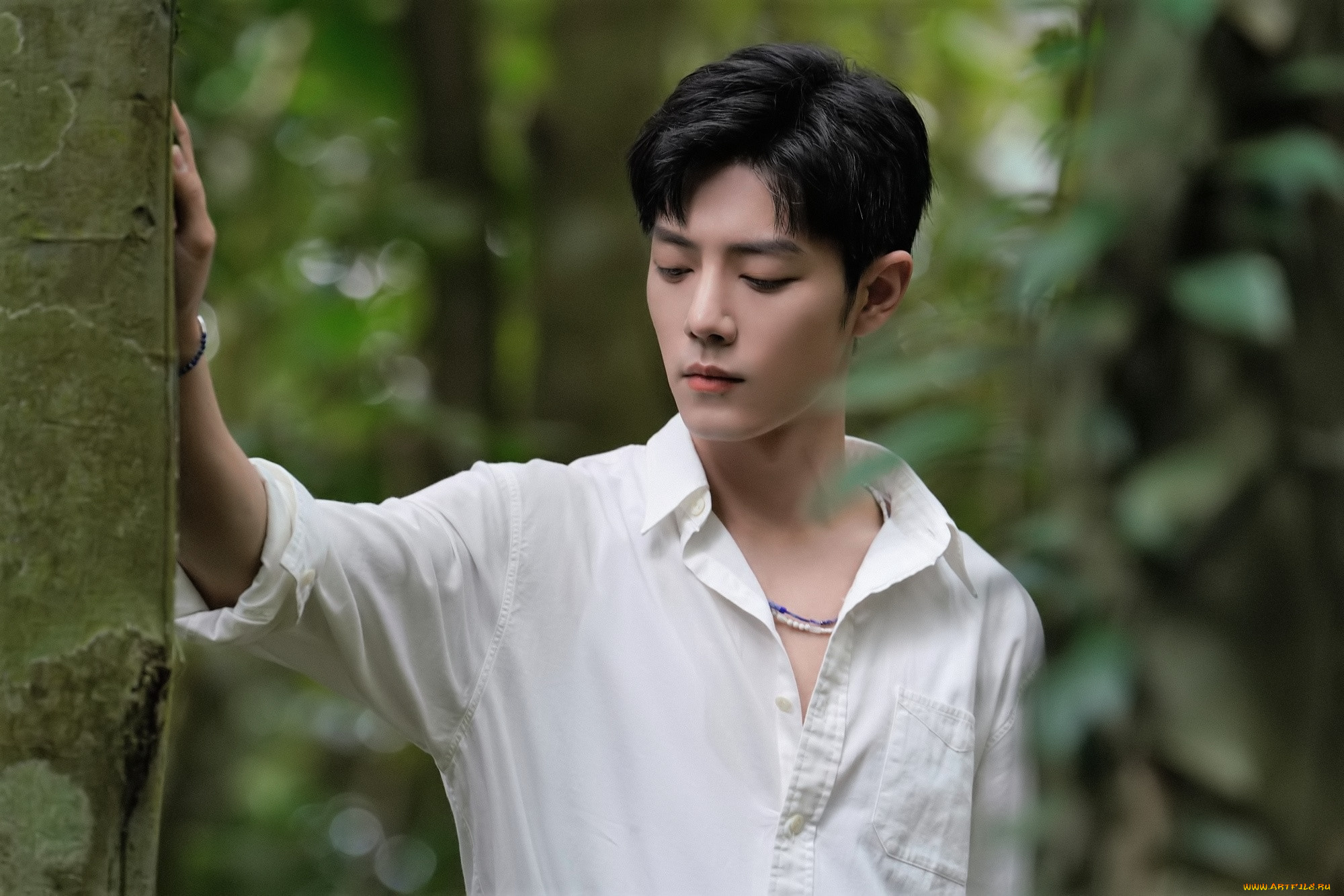 мужчины, xiao, zhan, актер, рубашка, лес
