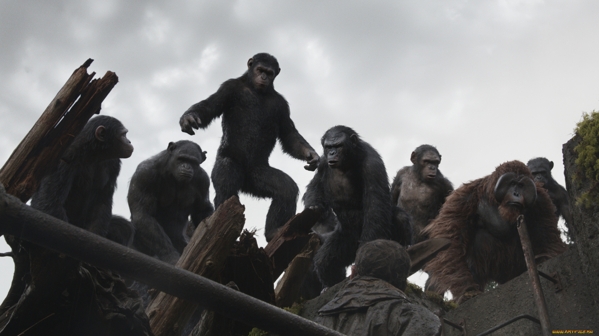 rise, of, the, planet, of, the, apes, кино, фильмы, персонажи