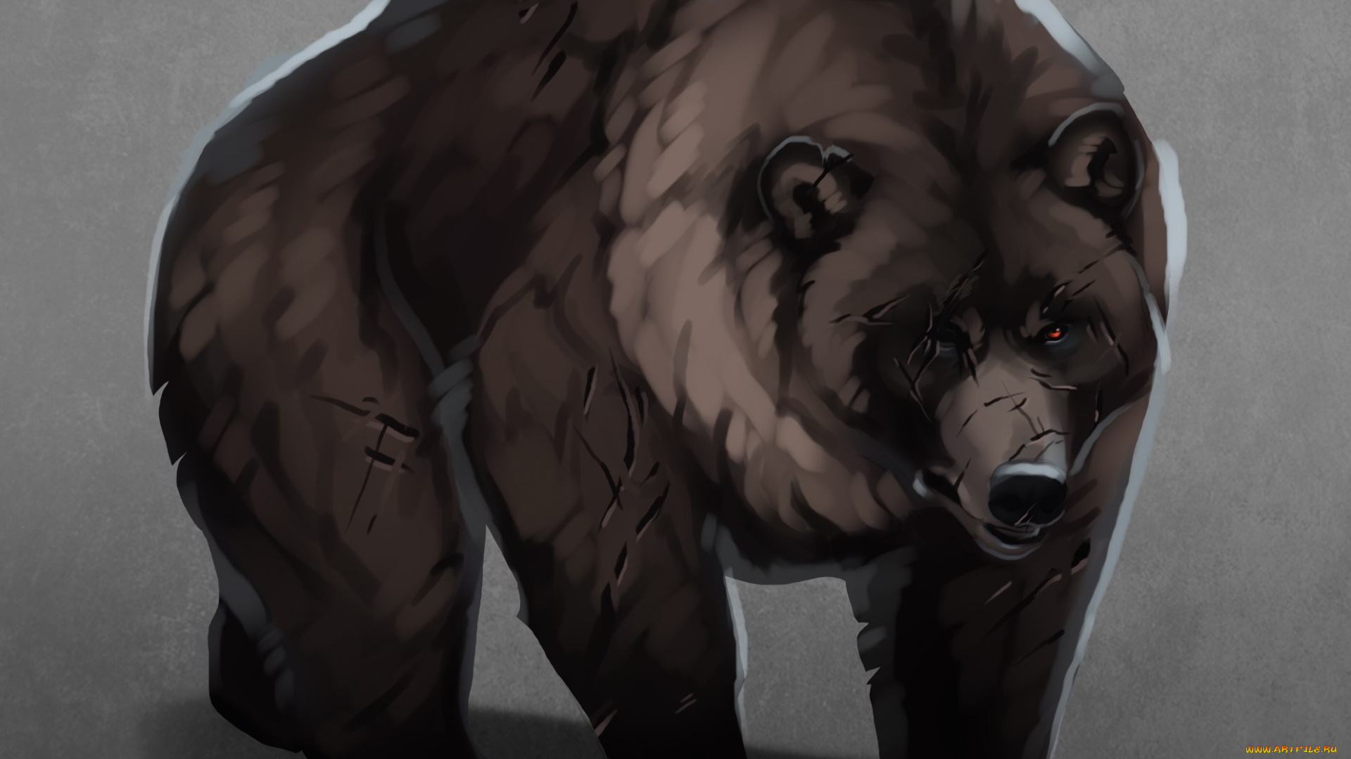 рисованное, животные, , медведи, медведь, фон