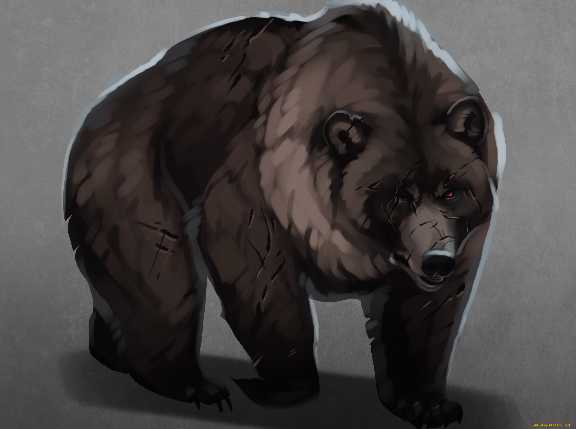 рисованное, животные, , медведи, медведь, фон