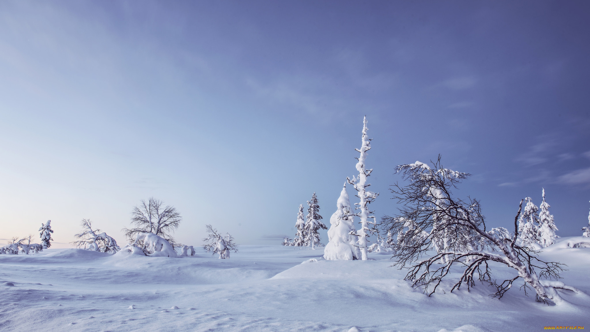 природа, зима, lapland, деревья, сугробы, лапландия, финляндия, снег, finland