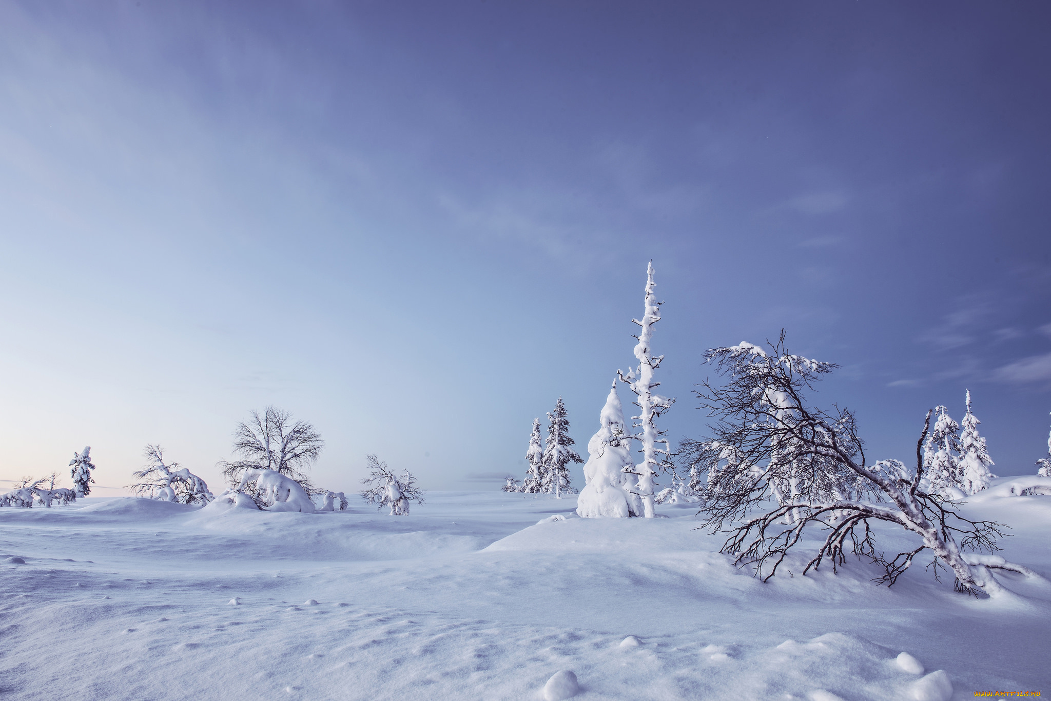 природа, зима, lapland, деревья, сугробы, лапландия, финляндия, снег, finland