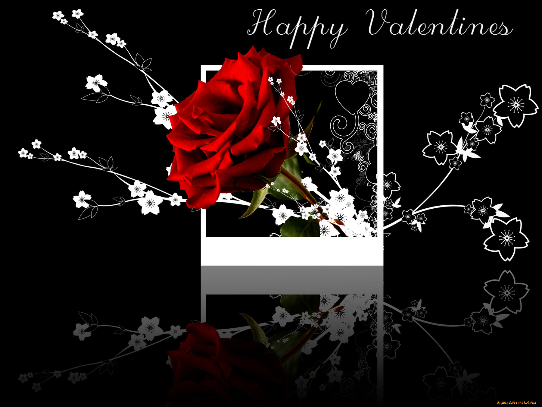 праздничные, день, св, валентина, сердечки, любовь, чёрный, фон, роза