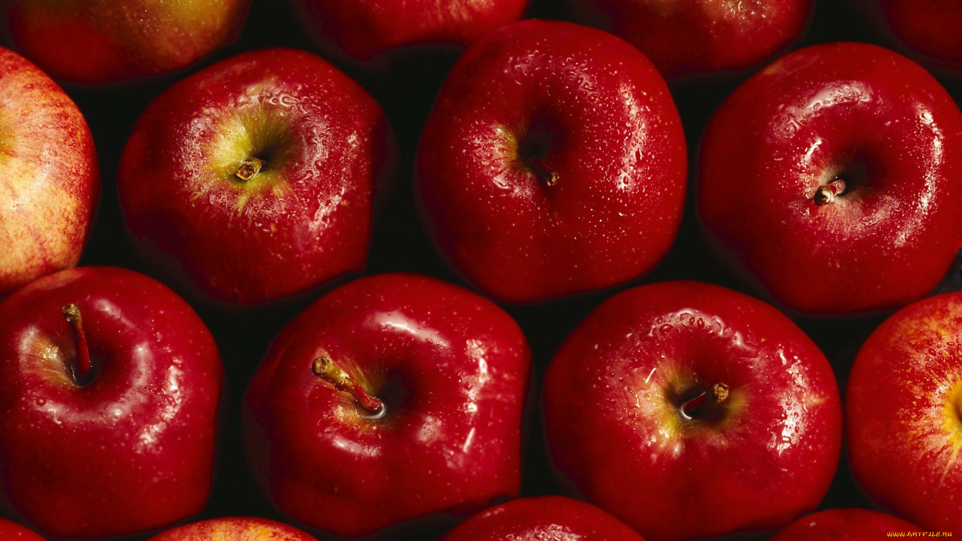 еда, Яблоки, красные, яблоки, фрукты