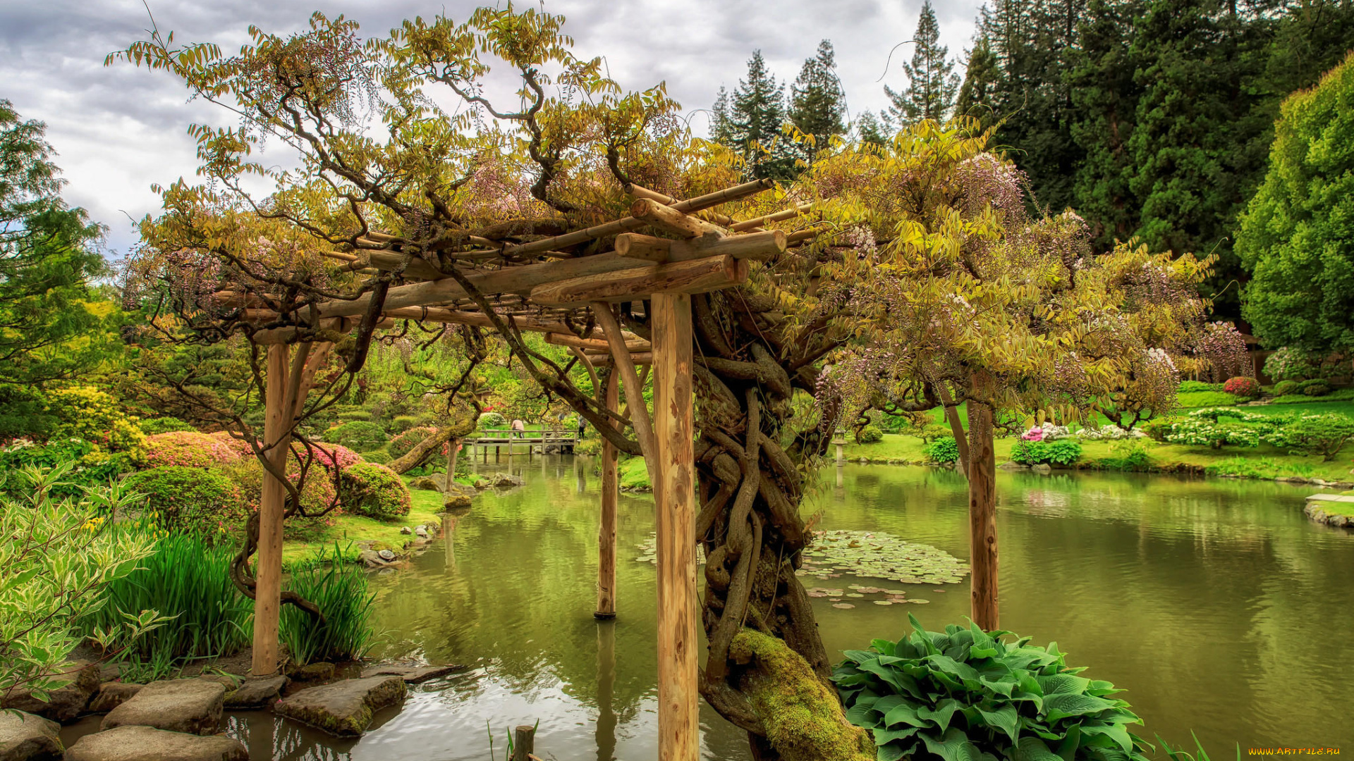 природа, парк, деревья, пруд, Японский, сад, камни