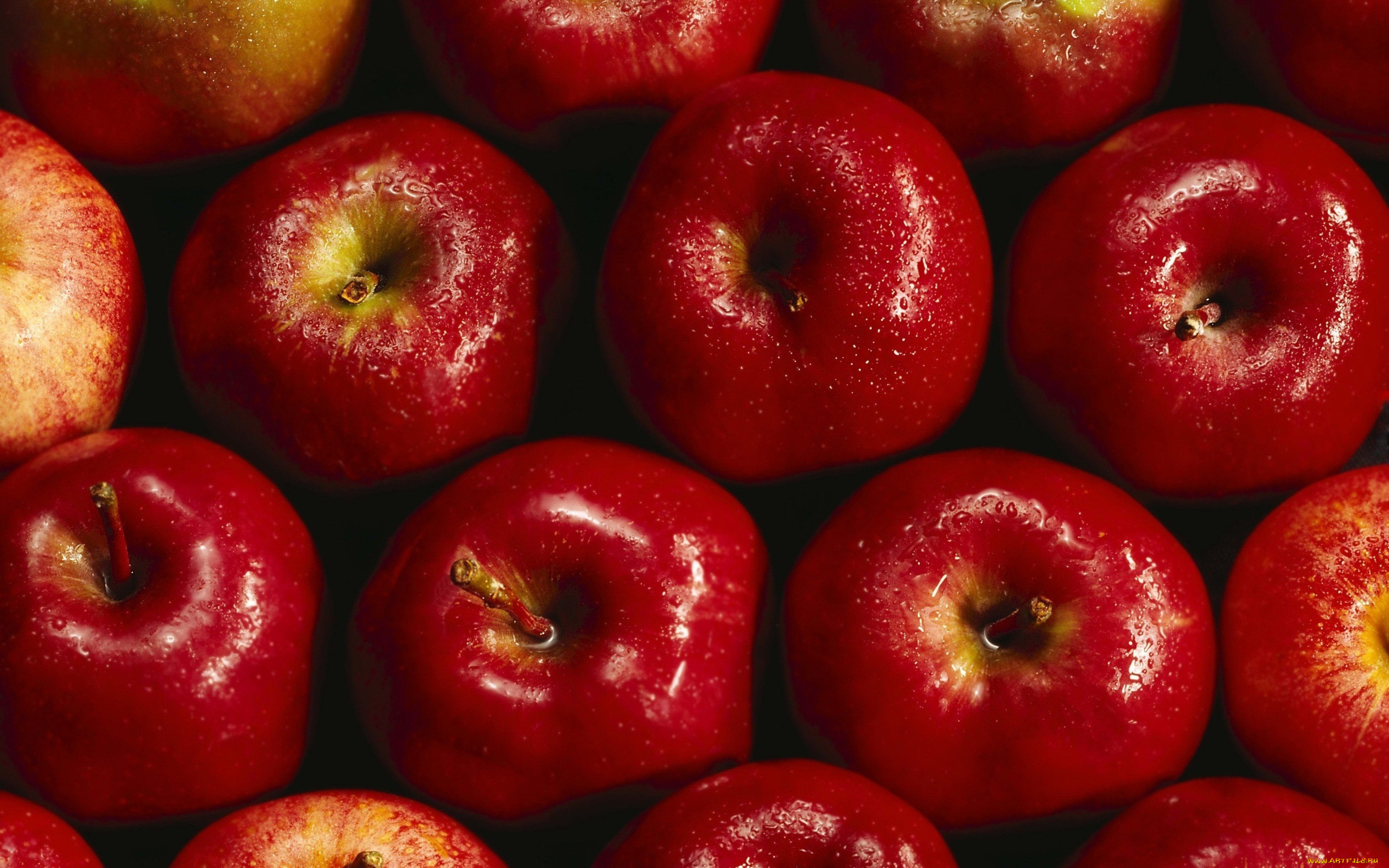 еда, Яблоки, красные, яблоки, фрукты