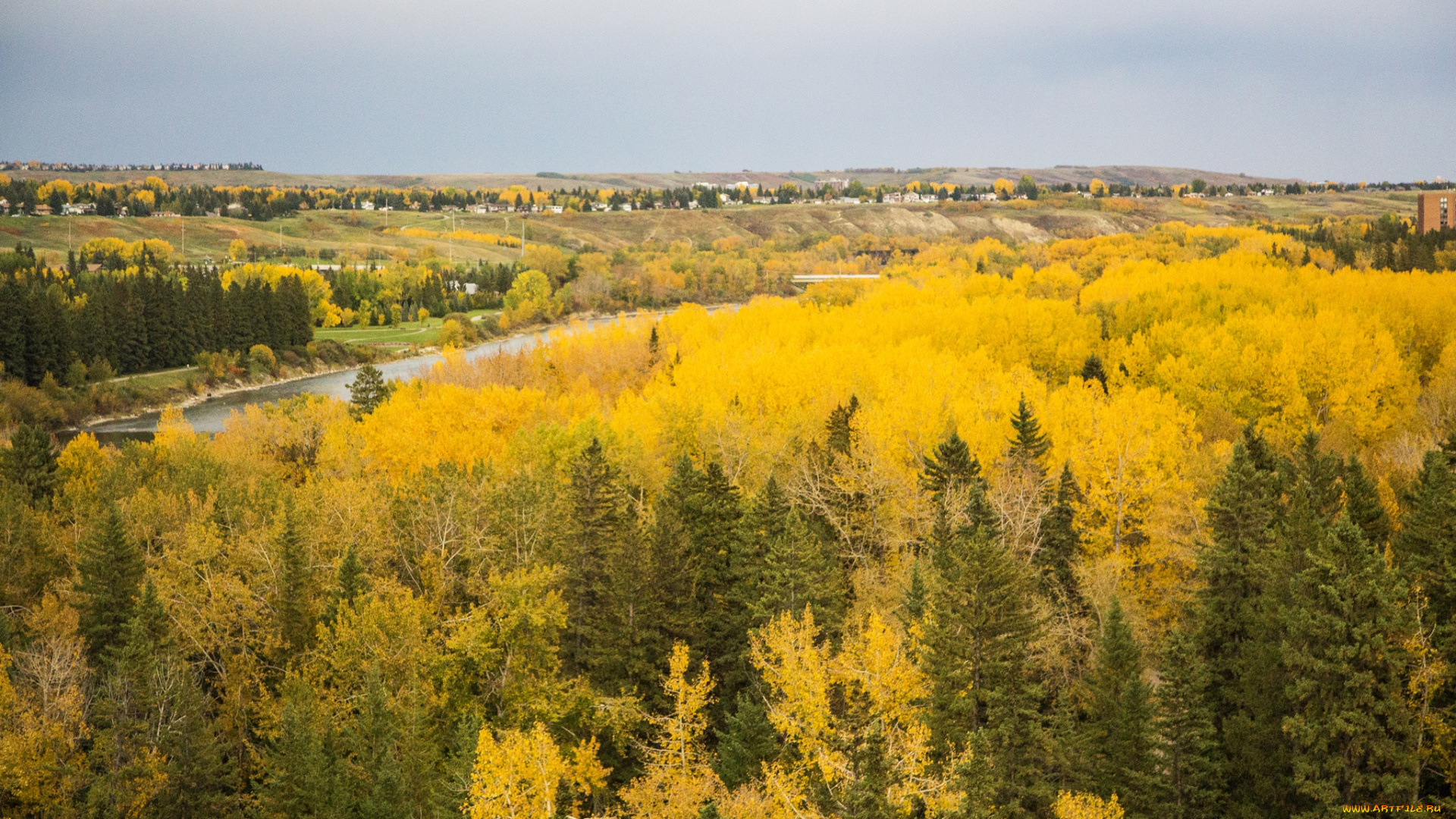 природа, лес, река, канада, calgary, желтые, осень, деревья, домики, поля