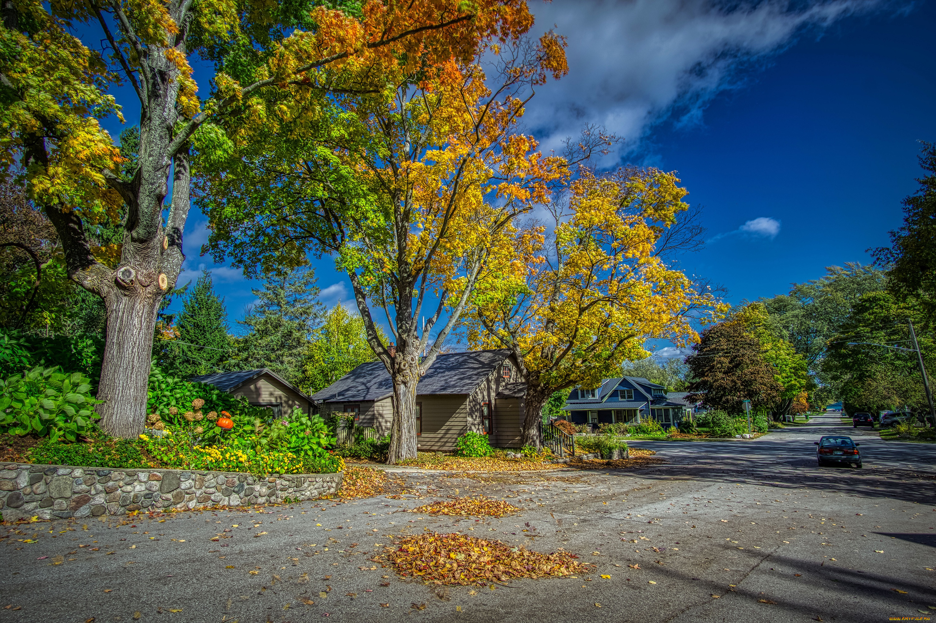 города, -, здания, , дома, northport, michigan, жёлтые, сша, дома, улица, машины, деревья, облака, солнце, небо, листья, осень, дорога