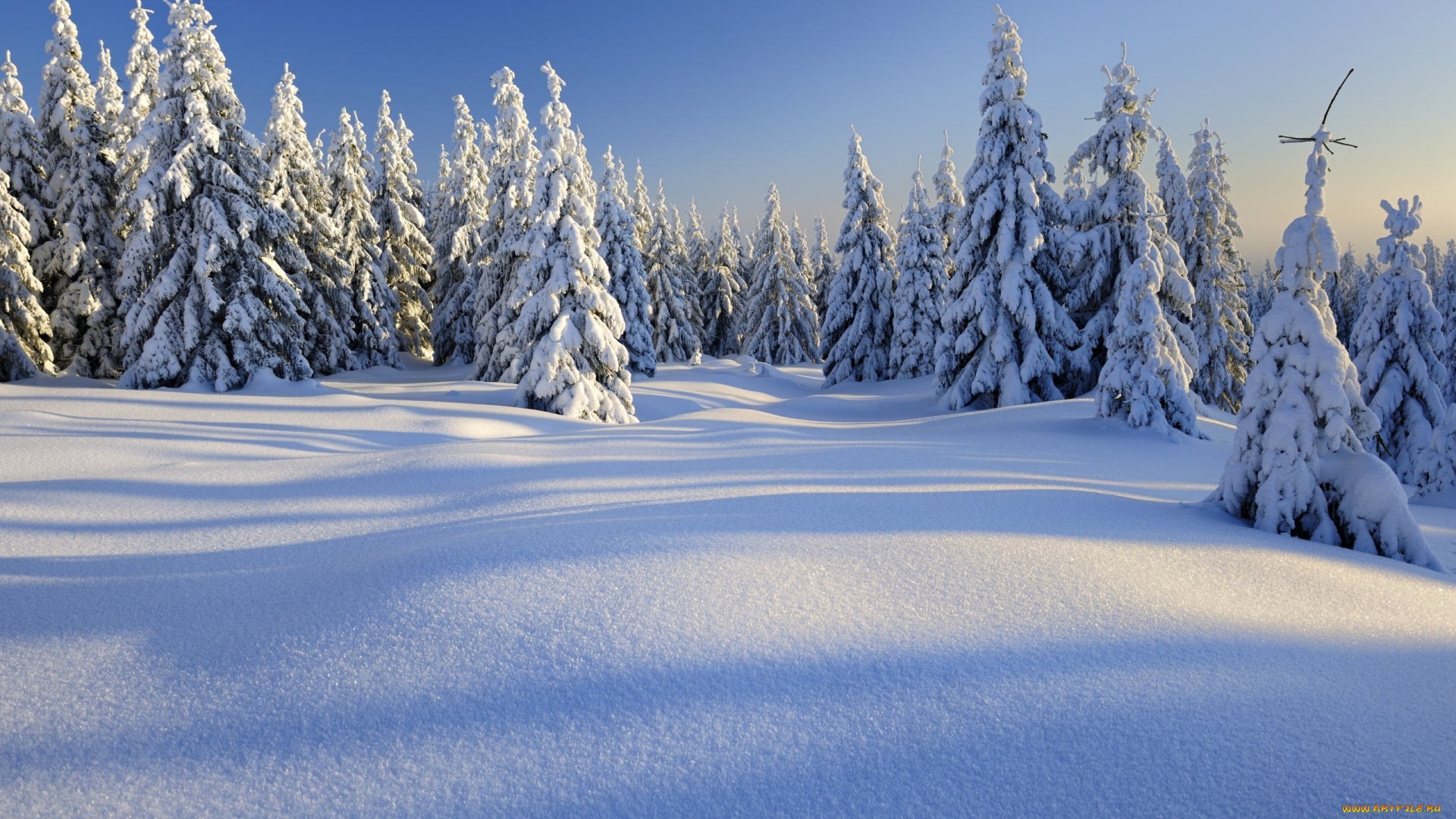 природа, зима, горы, пейзаж, снег, деревья