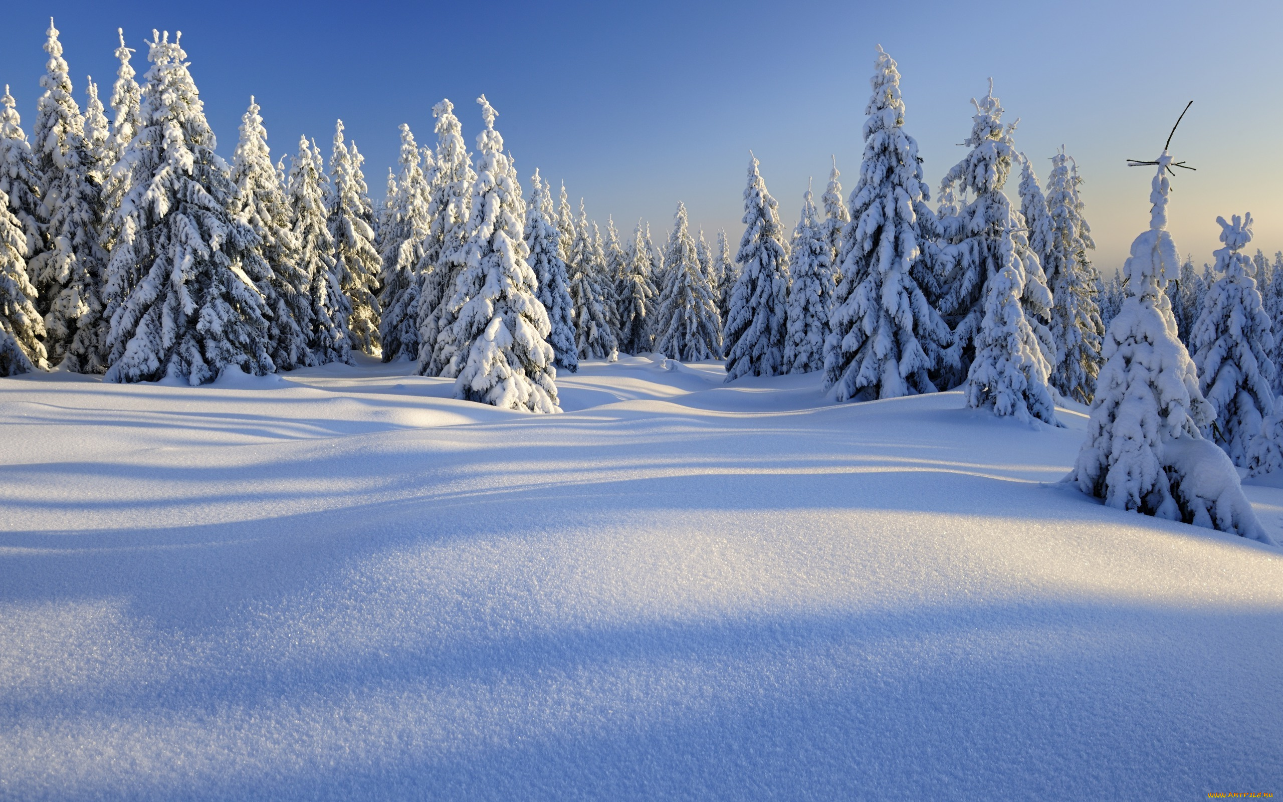 природа, зима, горы, пейзаж, снег, деревья