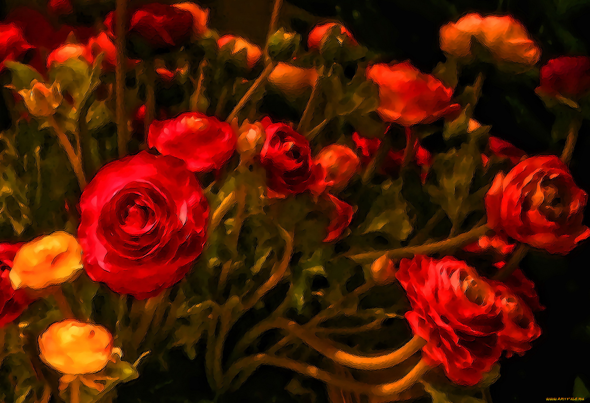 разное, компьютерный, дизайн, цветы, розы, красные