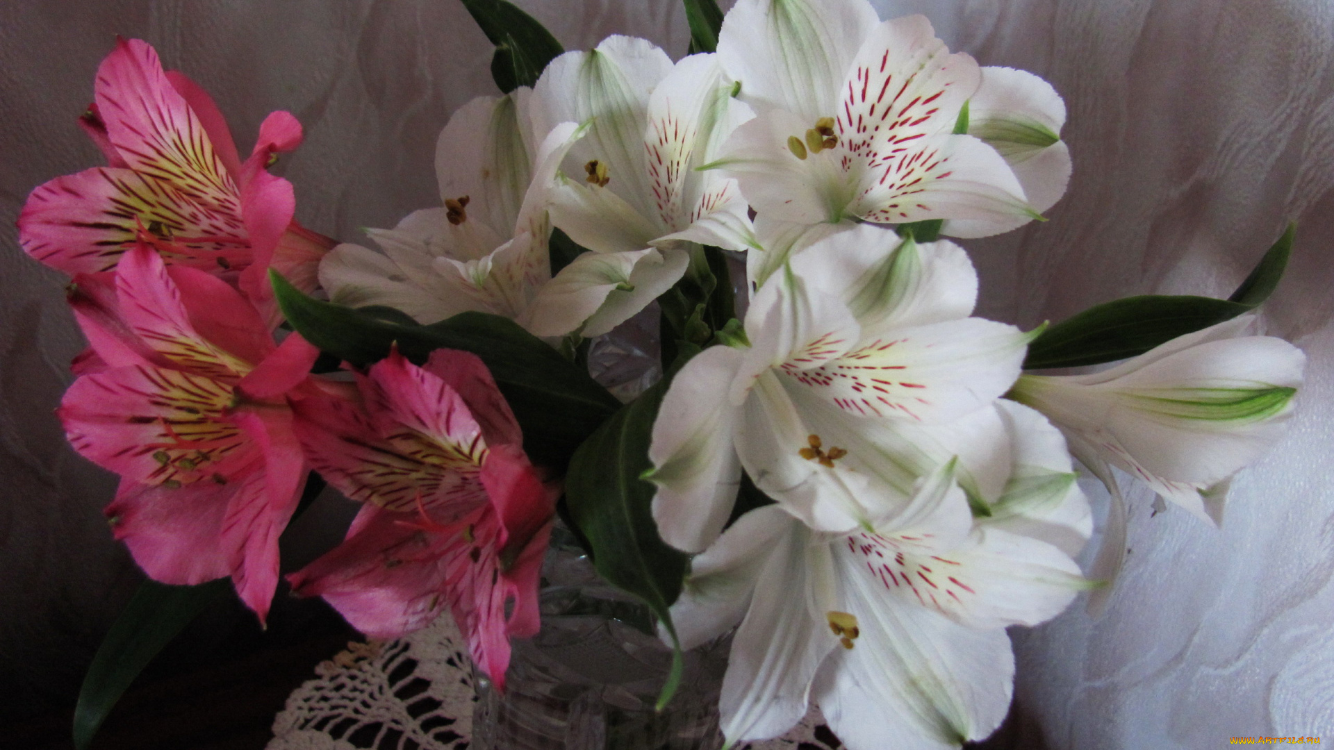 цветы, альстромерия, белая, розовая, букет