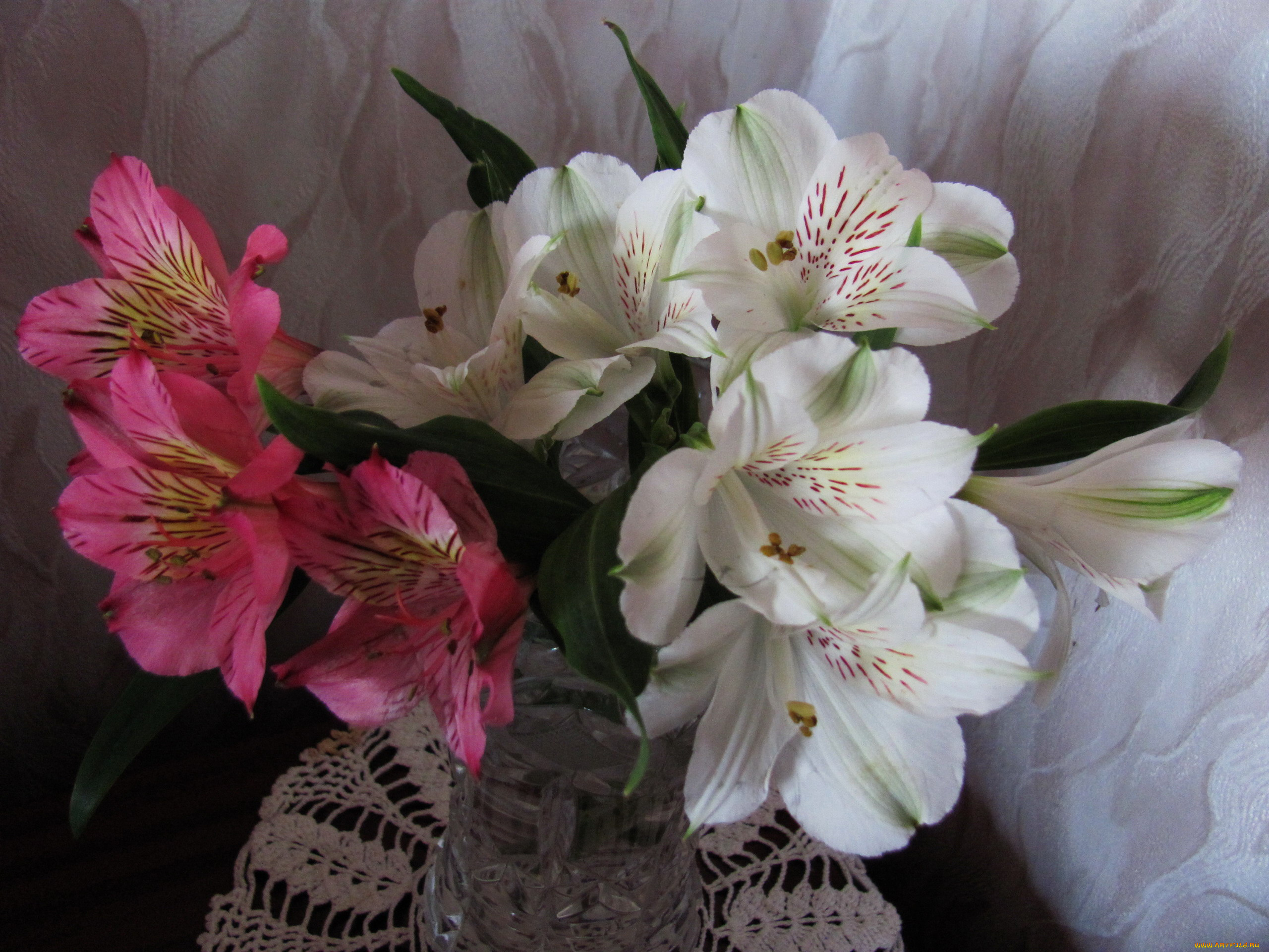 цветы, альстромерия, белая, розовая, букет