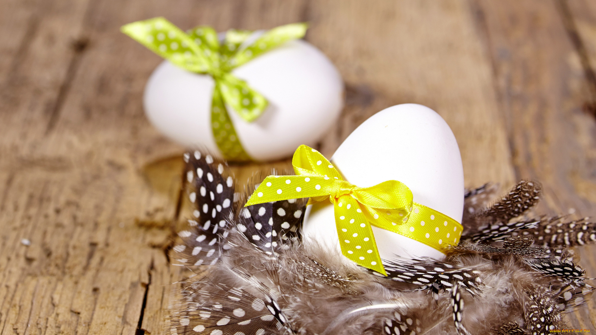 праздничные, пасха, яйца, пасхальный, верба, весна, eggs, wood, bow, feather, decoration, spring, easter, перья