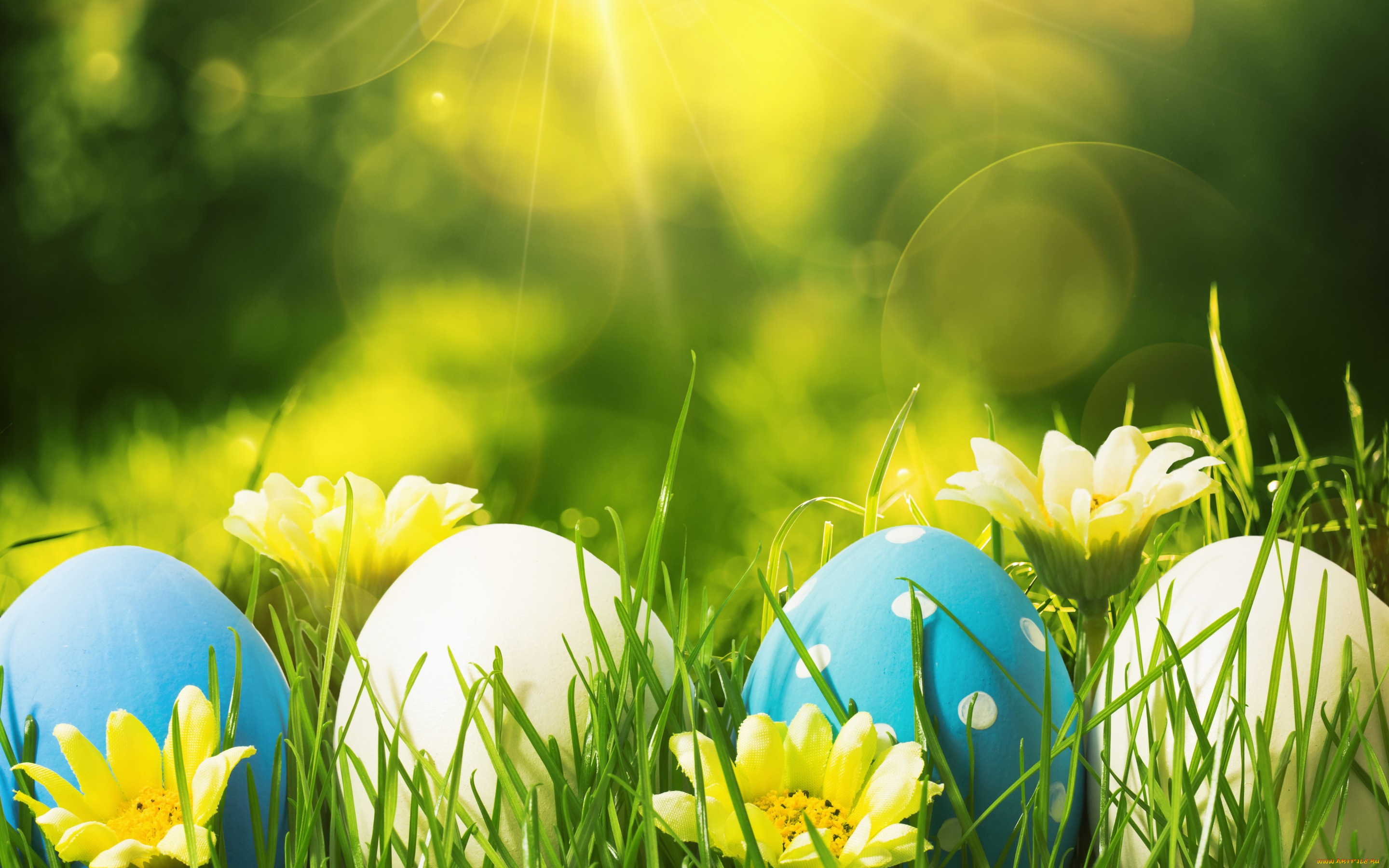 праздничные, пасха, decoration, eggs, happy, easter, весна, цветы, яйца, flowers, spring