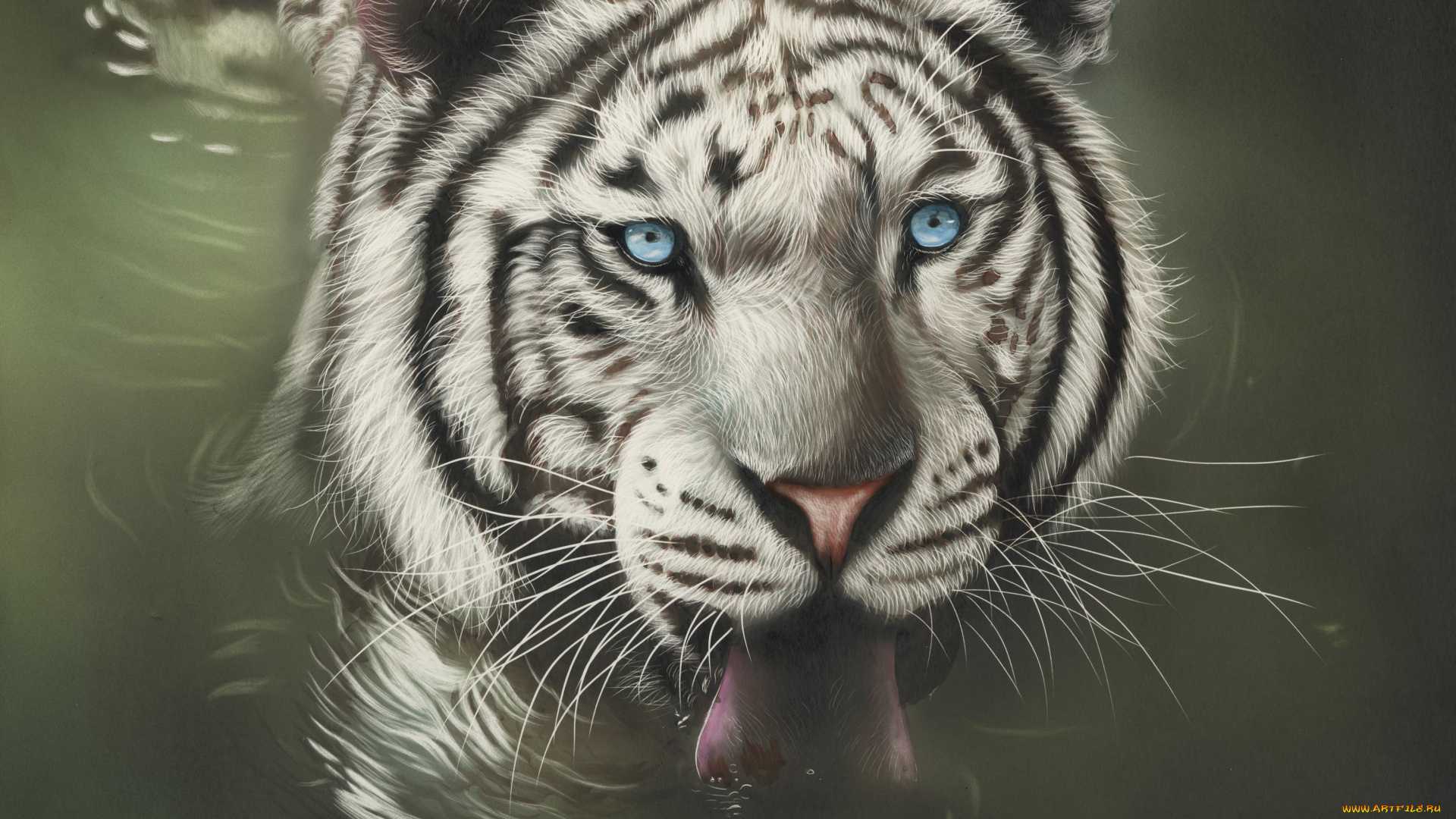 рисованное, животные, , тигры, by, shonechacko, вода, белый, тигр