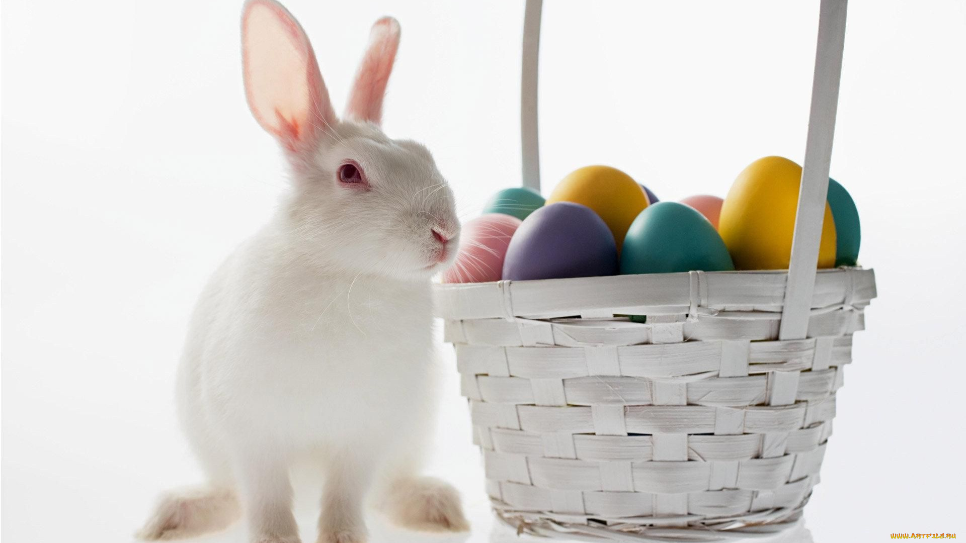 животные, кролики, зайцы, крашенки, корзина, пасхальные, яйца, кролик