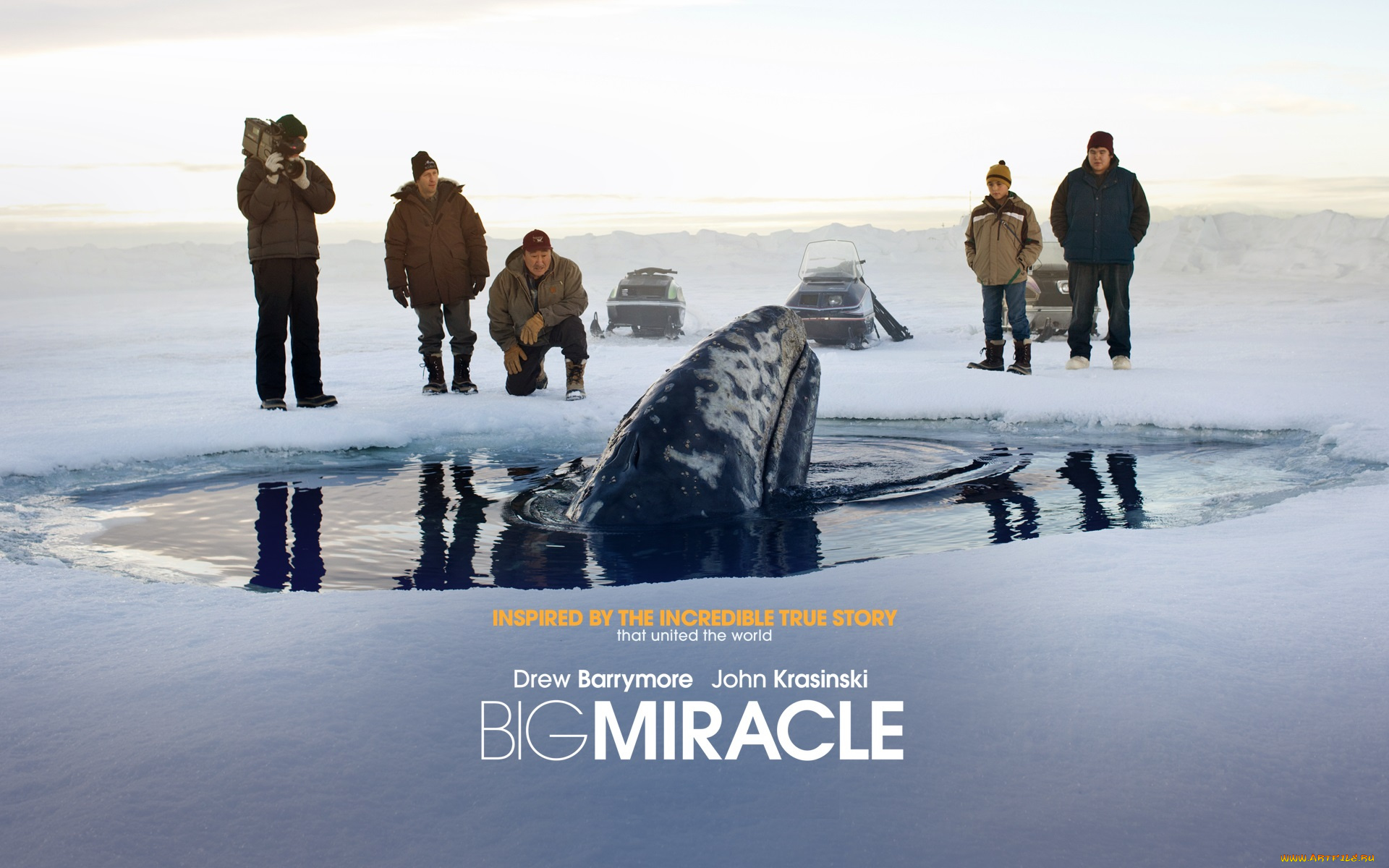 кино, фильмы, big, miracle, люди, кит, лунка, лед