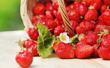 Картинка еда клубника +земляника спелая strawberry весна fresh berries корзинка красные ягоды