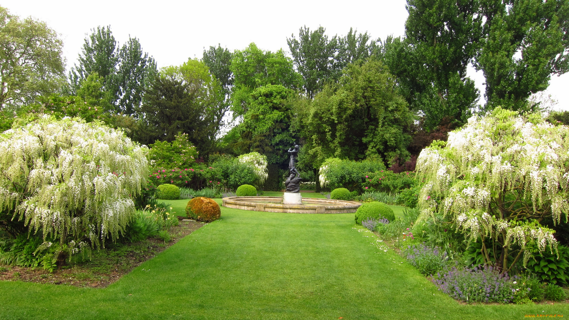 hill, garden, london, природа, парк, клумбы, растения