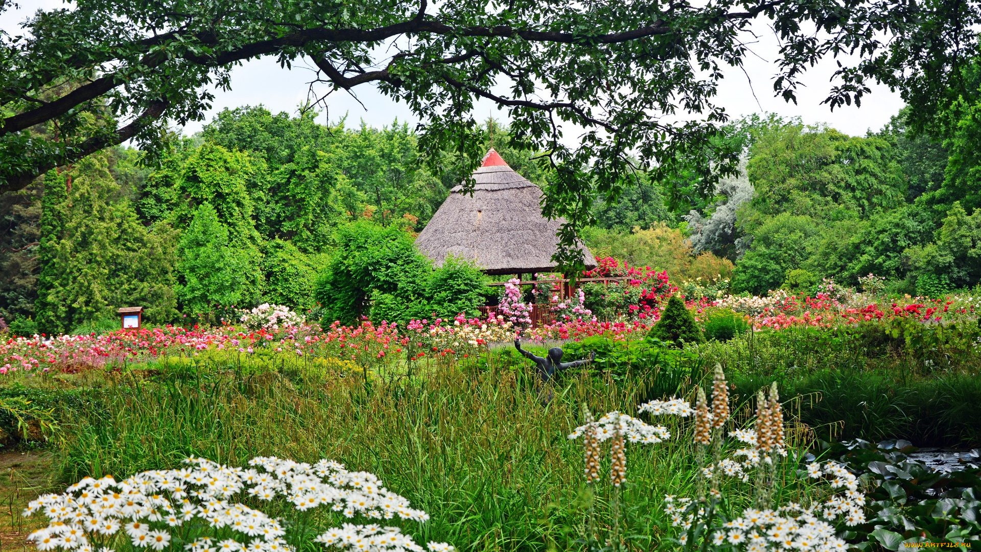 венгрия, цветы, разные, вместе, крыша, трава, деревья, ромашки