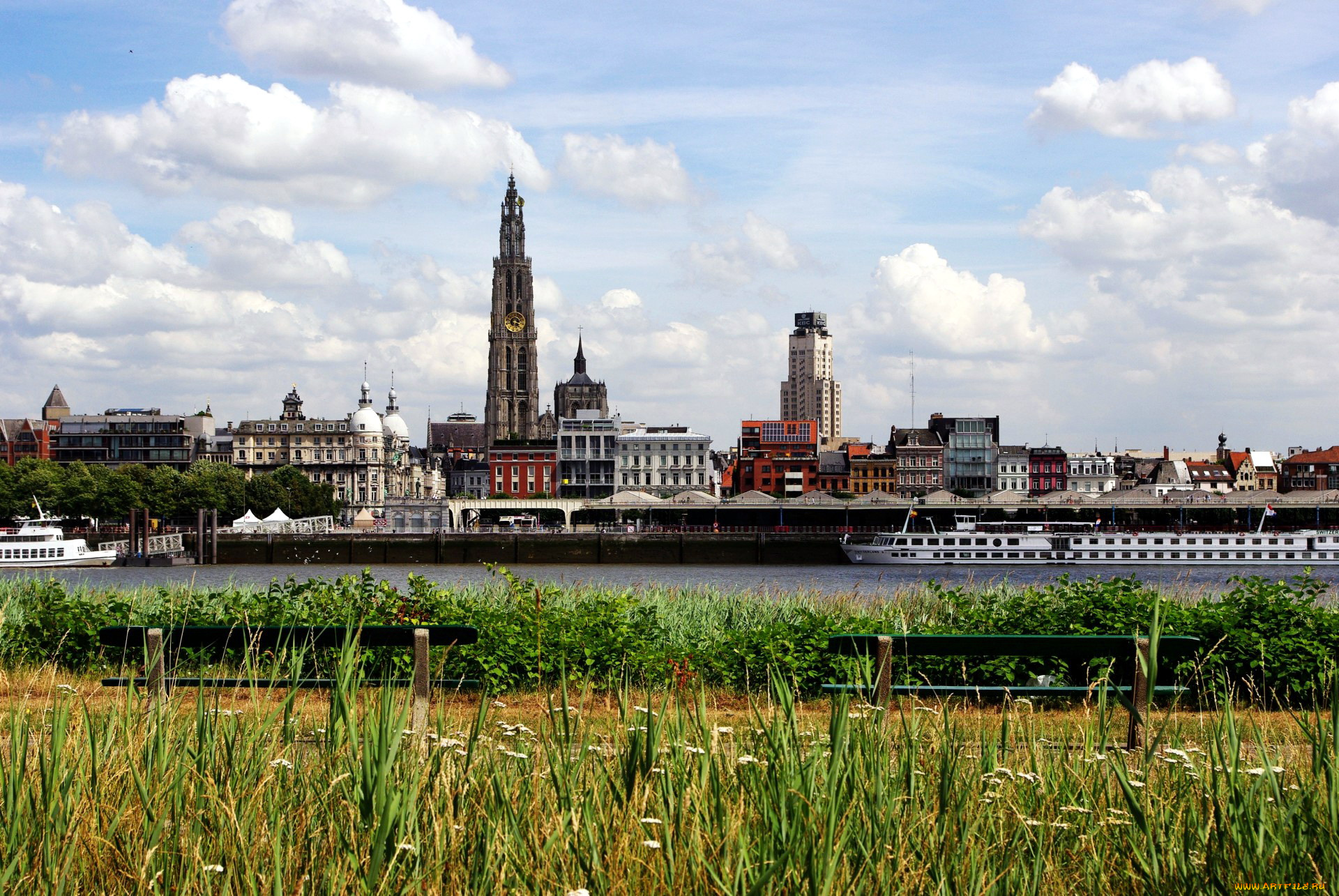 города, антверпен, , бельгия, набережная, река, лето