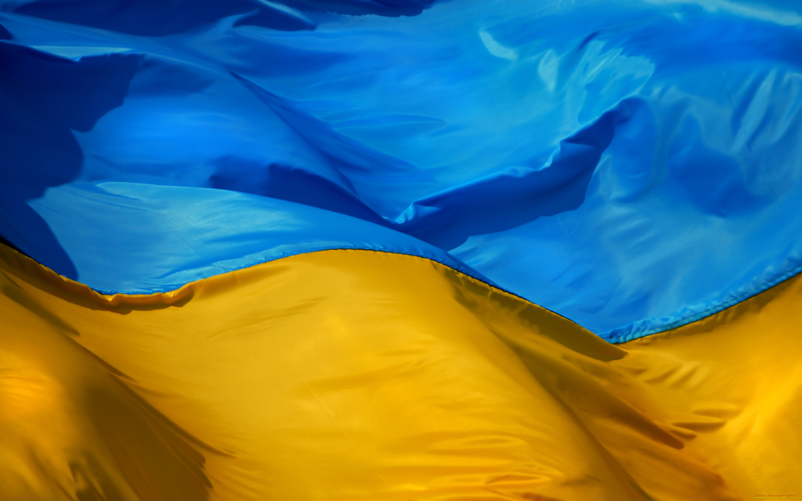 разное, флаги, гербы, желтый, украина