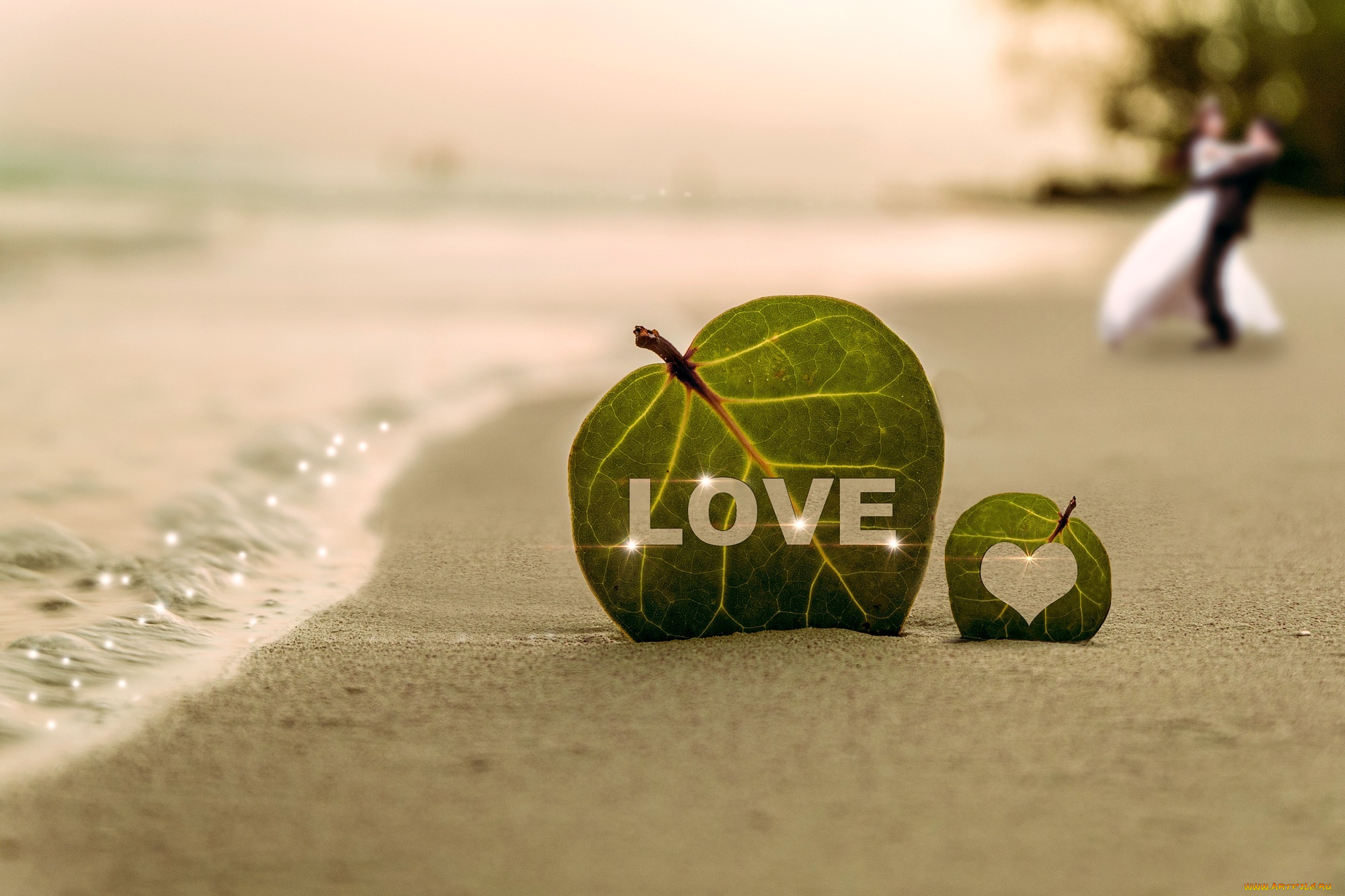 праздничные, день, святого, валентина, , сердечки, , любовь, побережье, берег, песок, волна, листья, сердце, love, пара