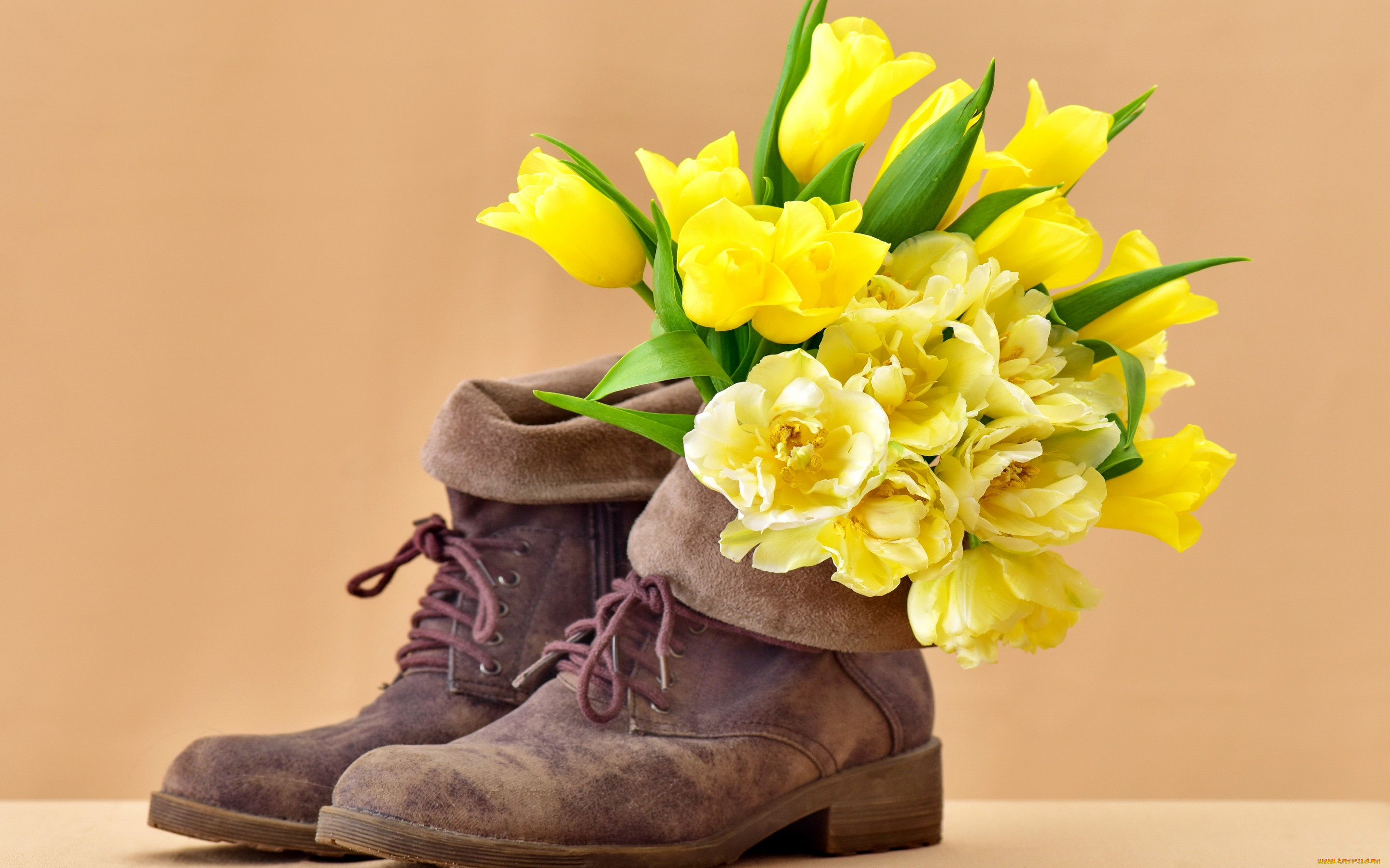 цветы, тюльпаны, bouquet, flowers, tulips, ботинки, boots