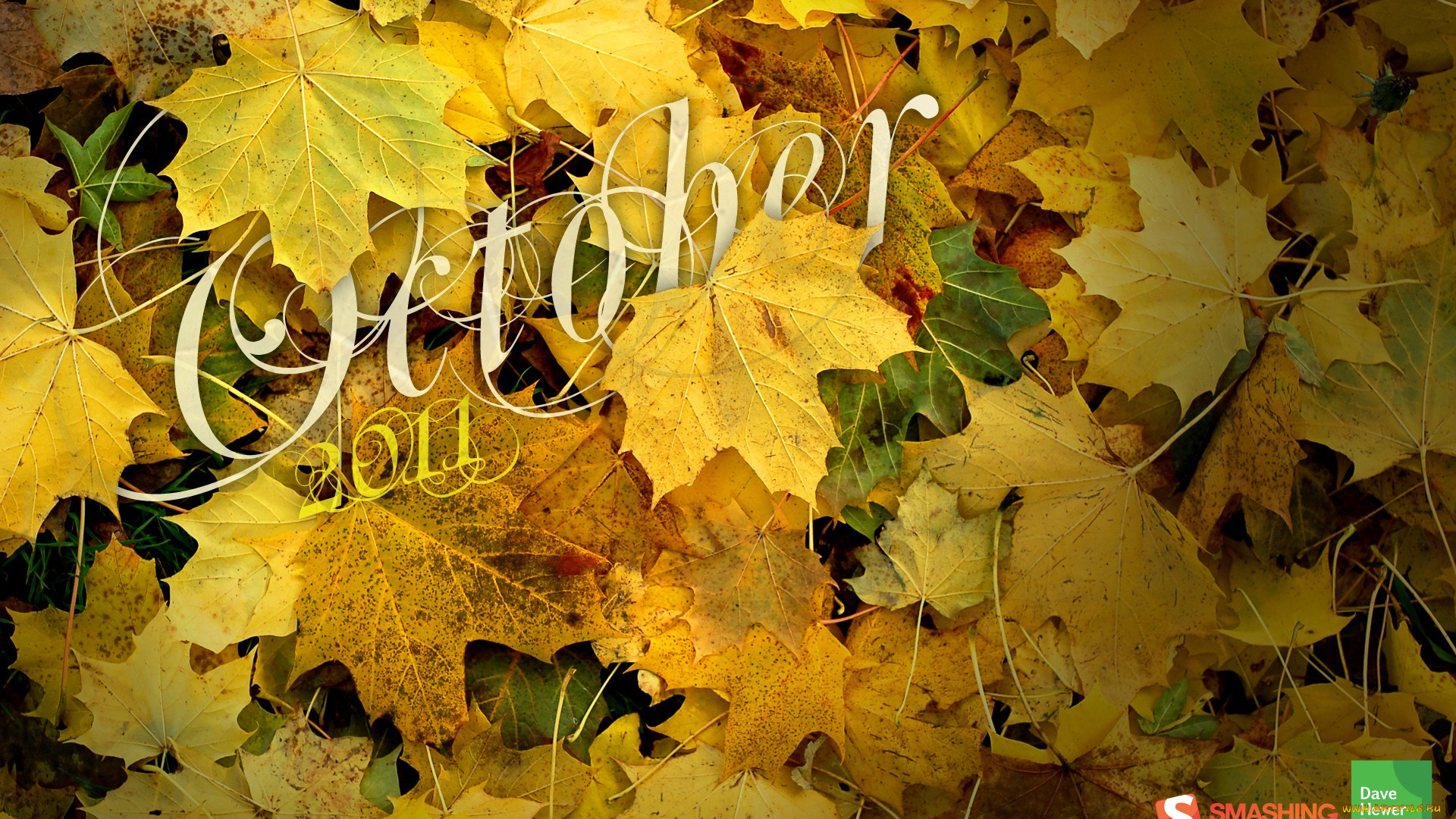календари, природа, желтый, кленовые, листья, осень
