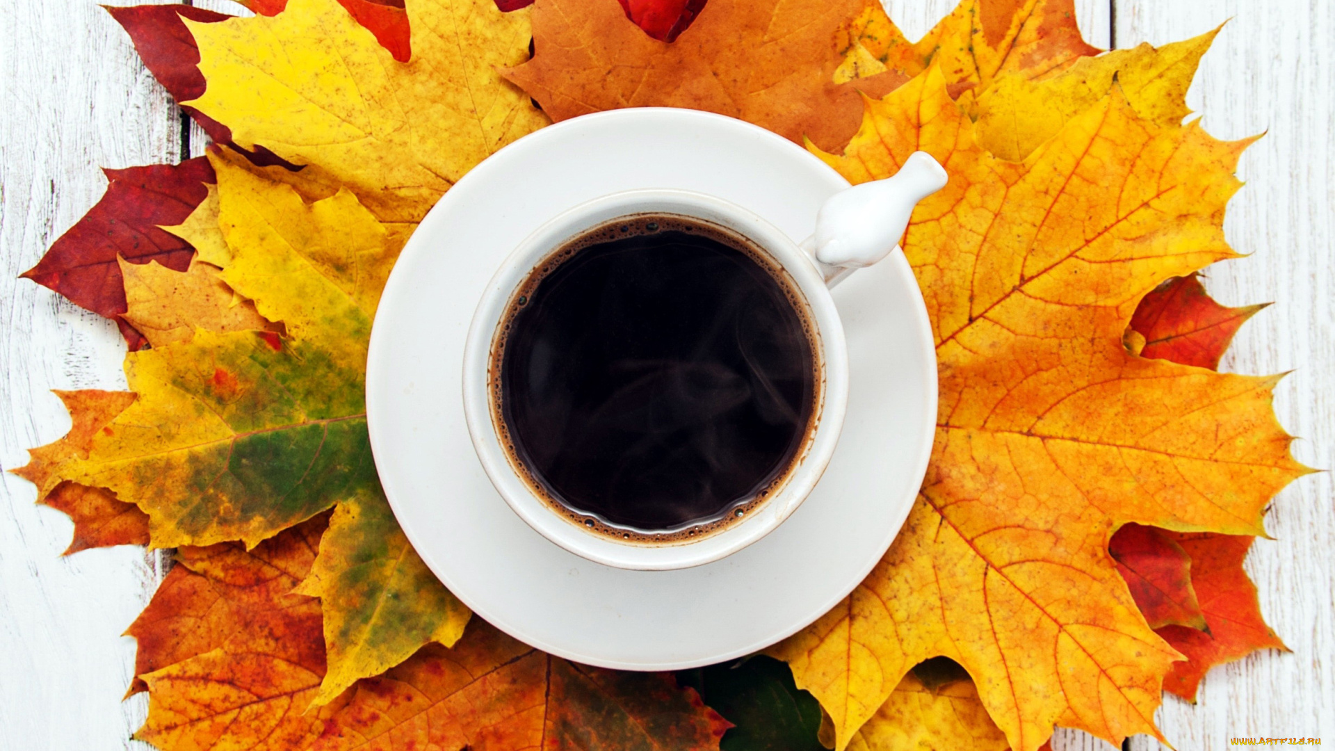 еда, кофе, , кофейные, зёрна, листья, осень