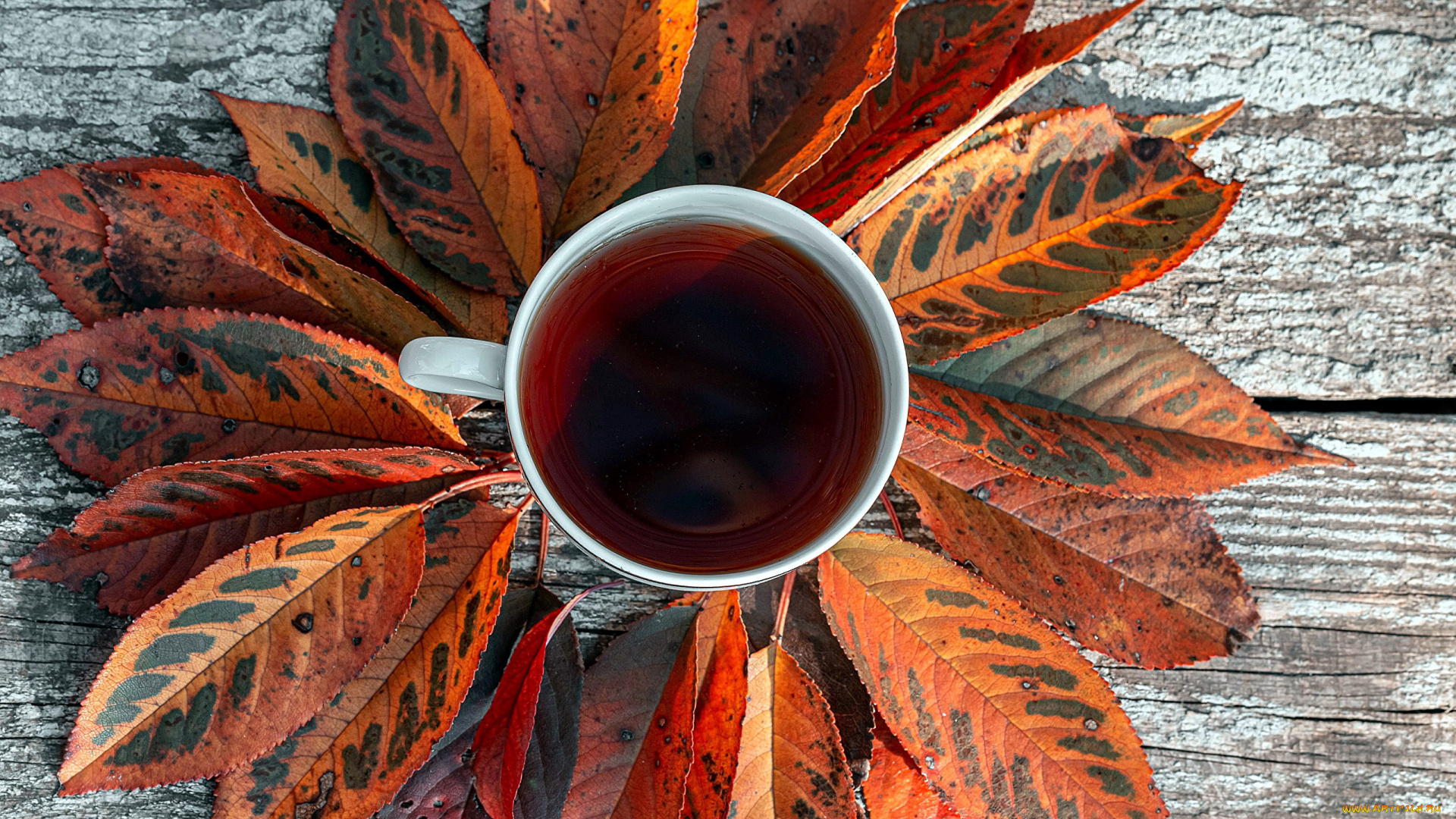 еда, напитки, , чай, чай, осень, листья