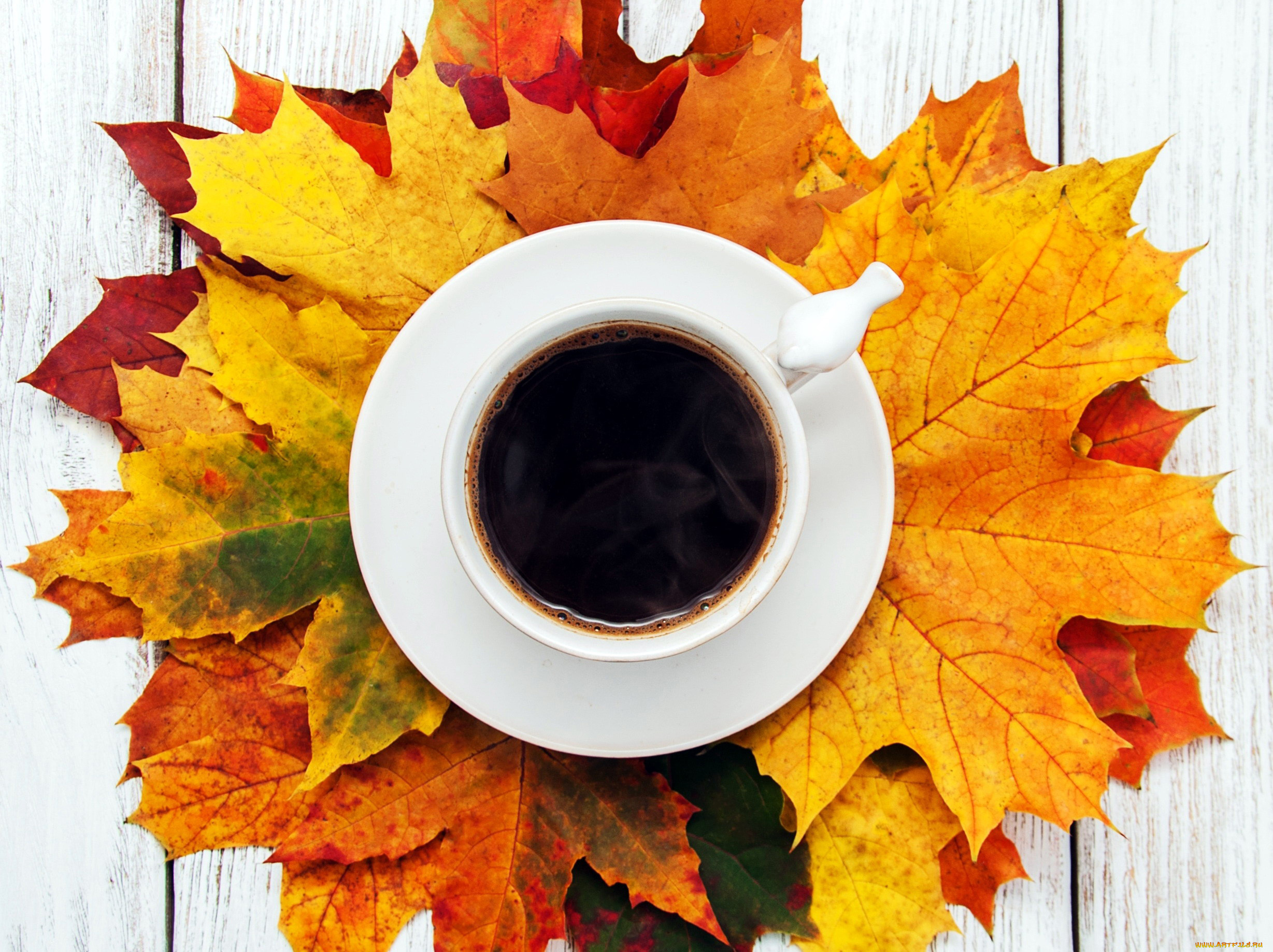 еда, кофе, , кофейные, зёрна, листья, осень