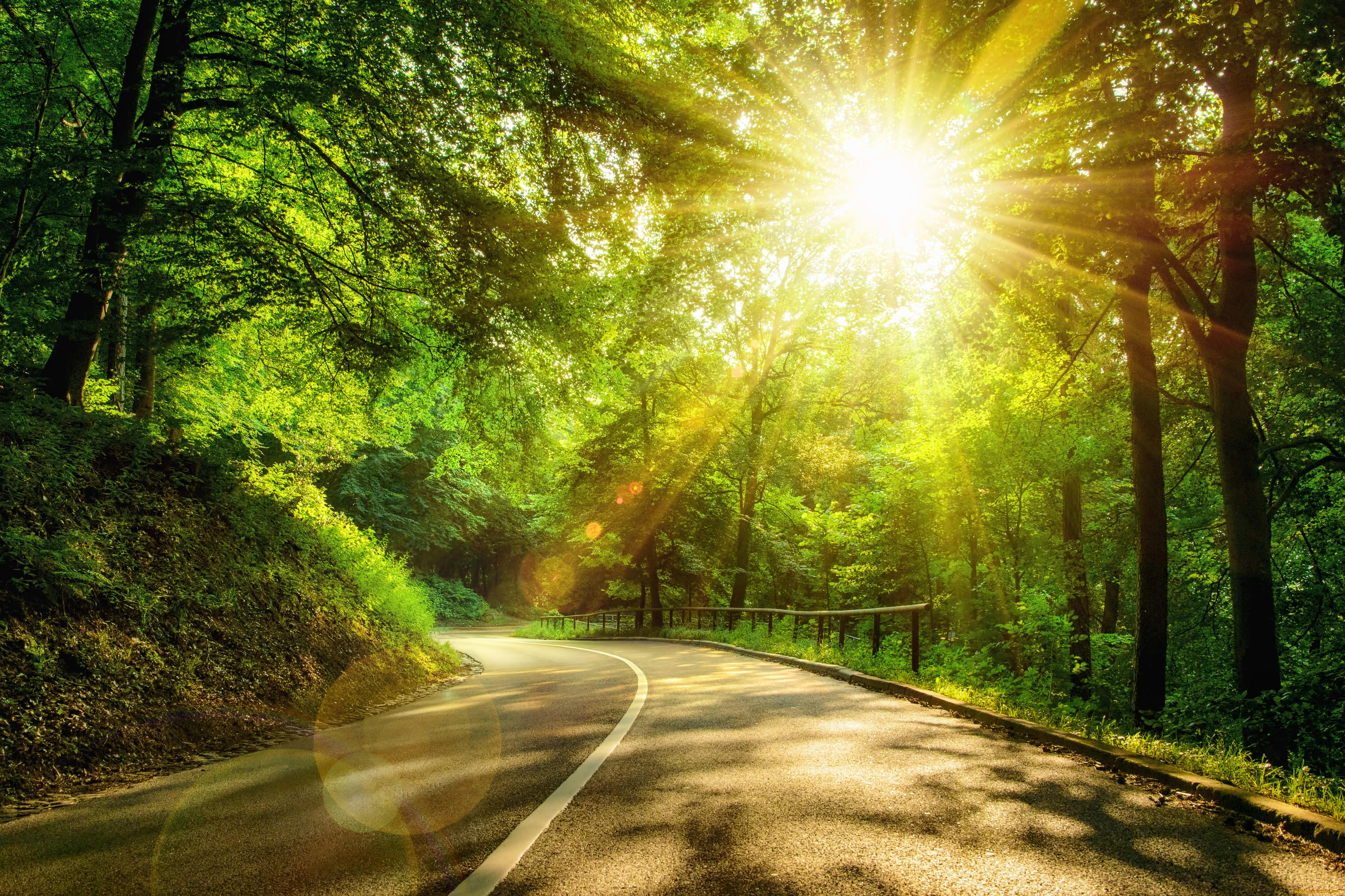 природа, дороги, солнце, солнечные, лучи, деревья, дорога, лес