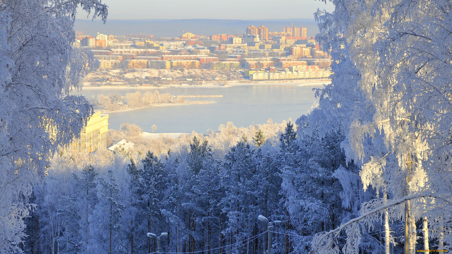 иркутск, , россия, города, -, панорамы, деревья, зима