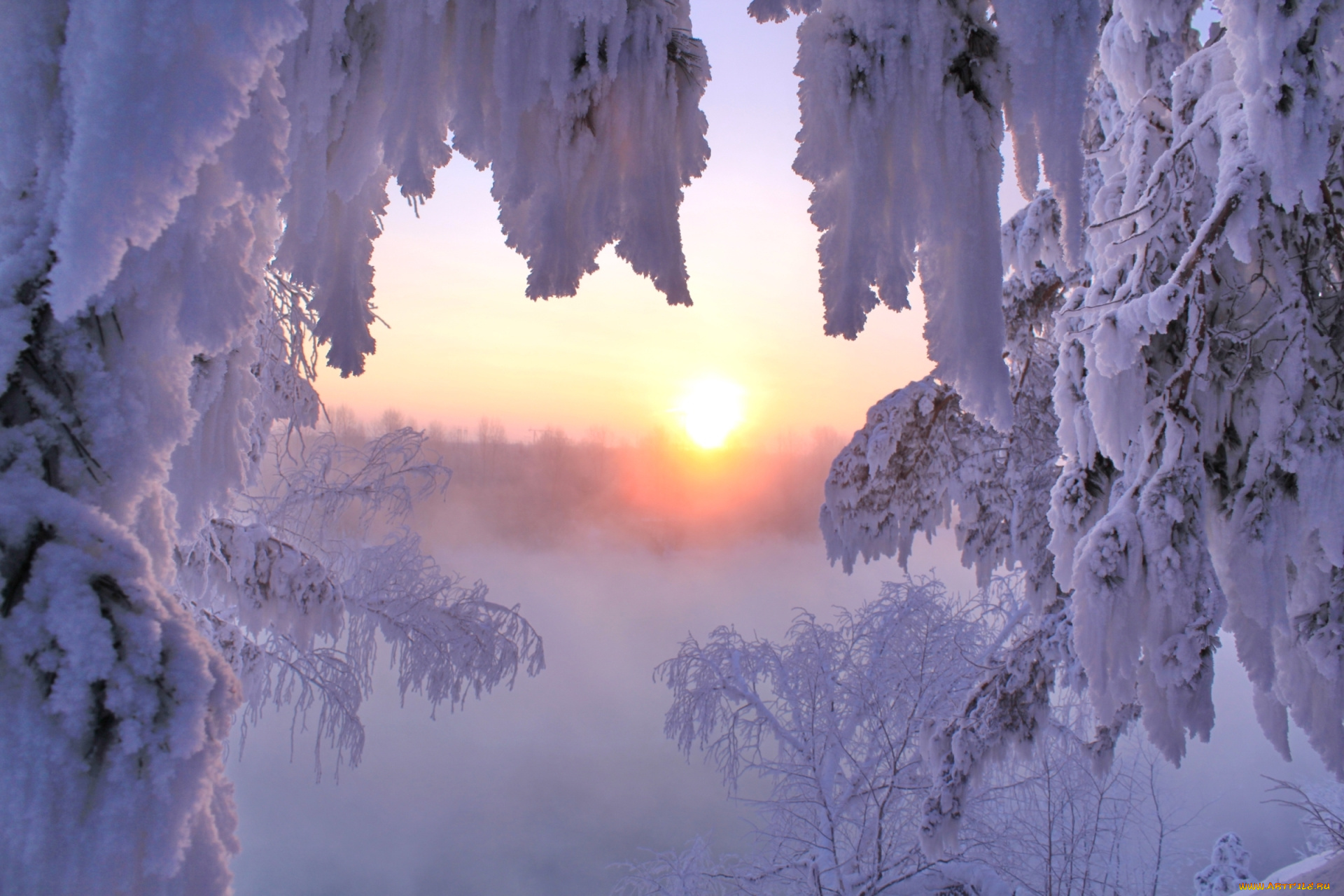 природа, зима, солнце, снег