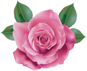 Картинка векторная+графика цветы+ flowers фон цветы роза