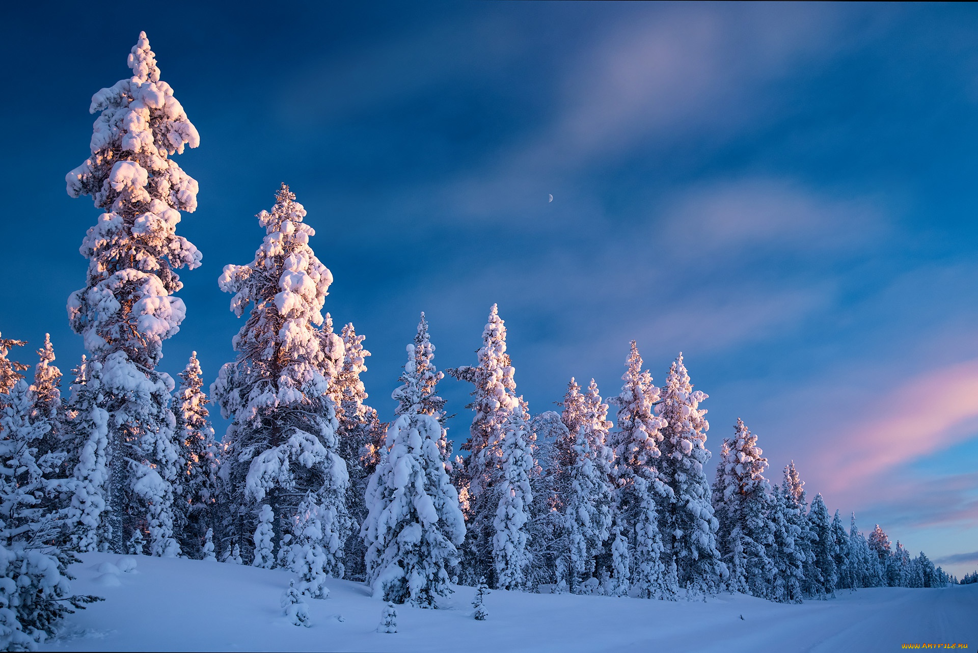 природа, зима, дорога, лес, небо, снег, деревья, ели, финляндия, finland, lapland, лапландия